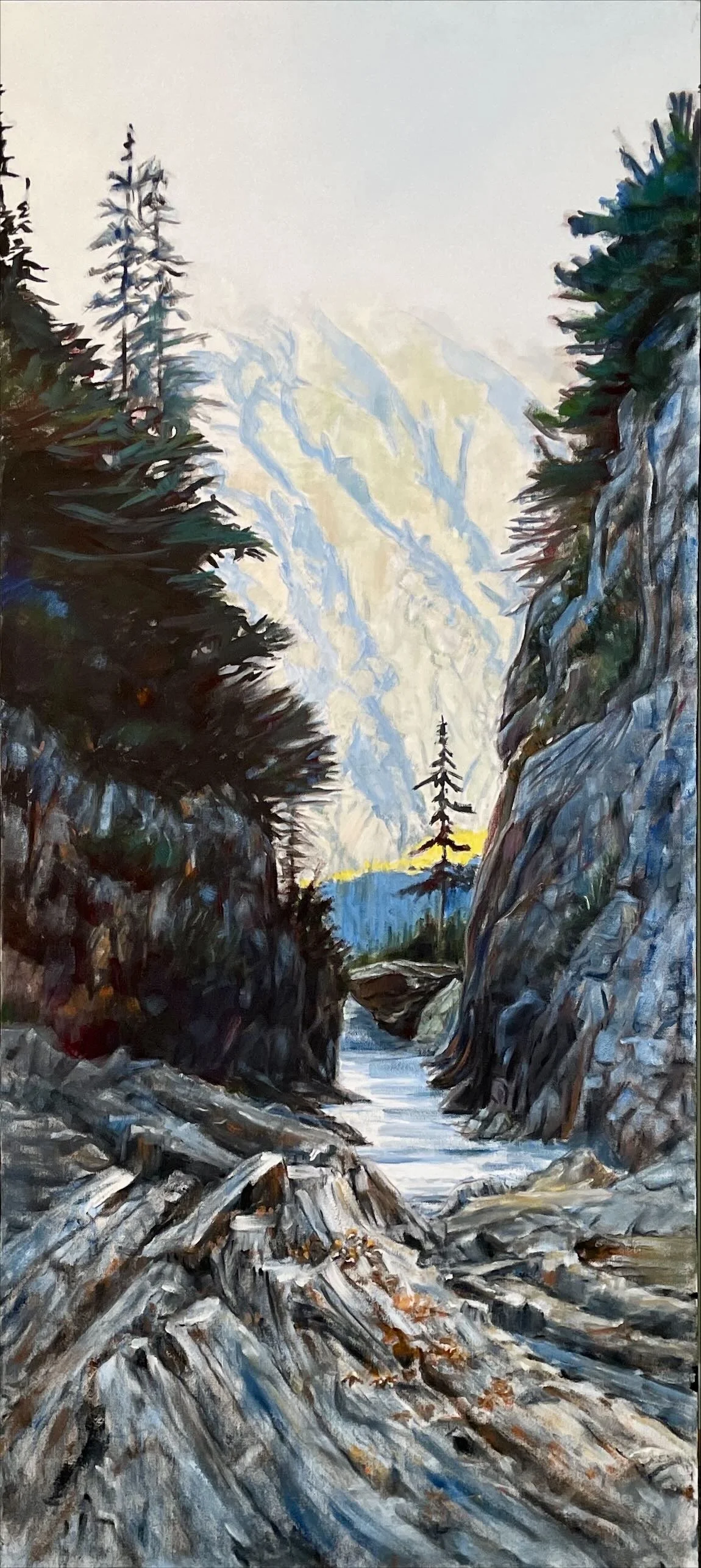 Snow Lake Outlet Creek