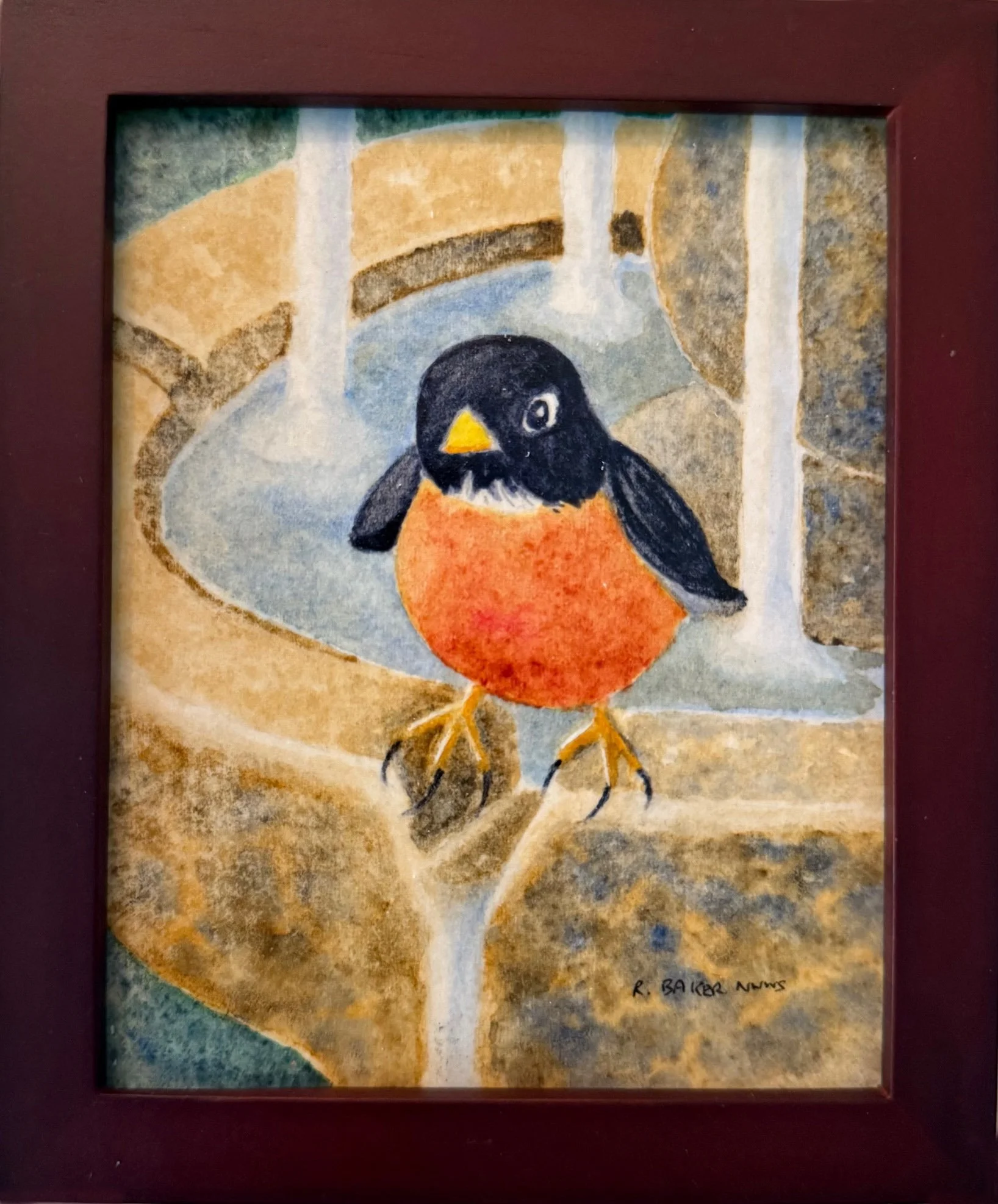 Robin Drying Off.jpg