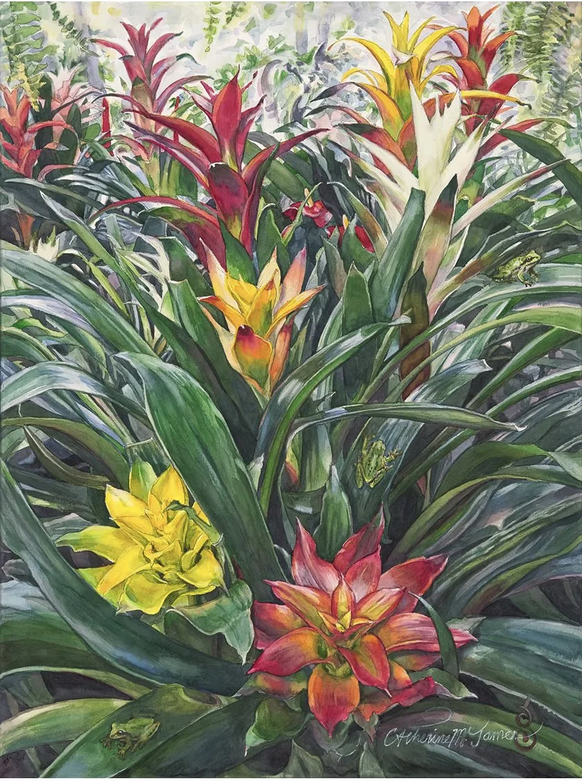 2026-03 Catherine James - Bromeliad Bouquet.jpg
