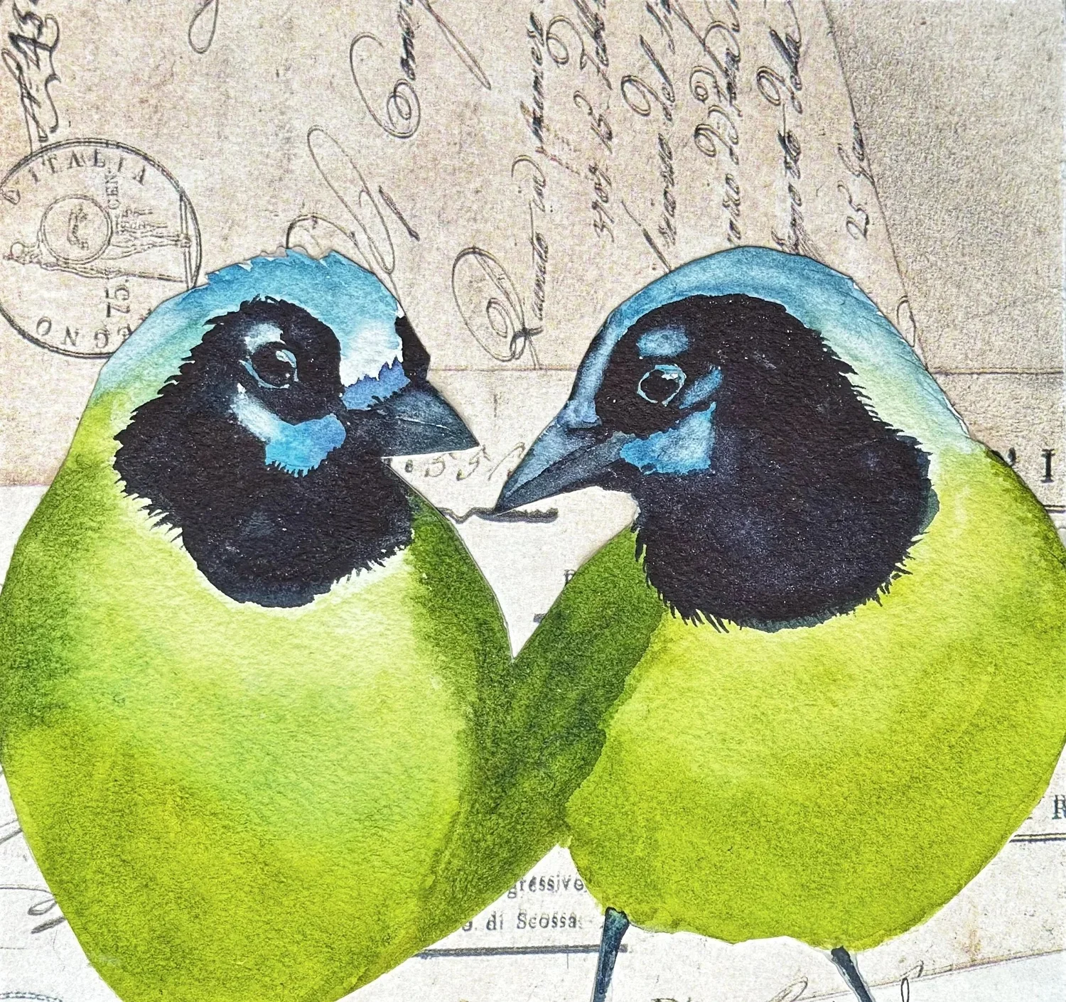 Green Jays