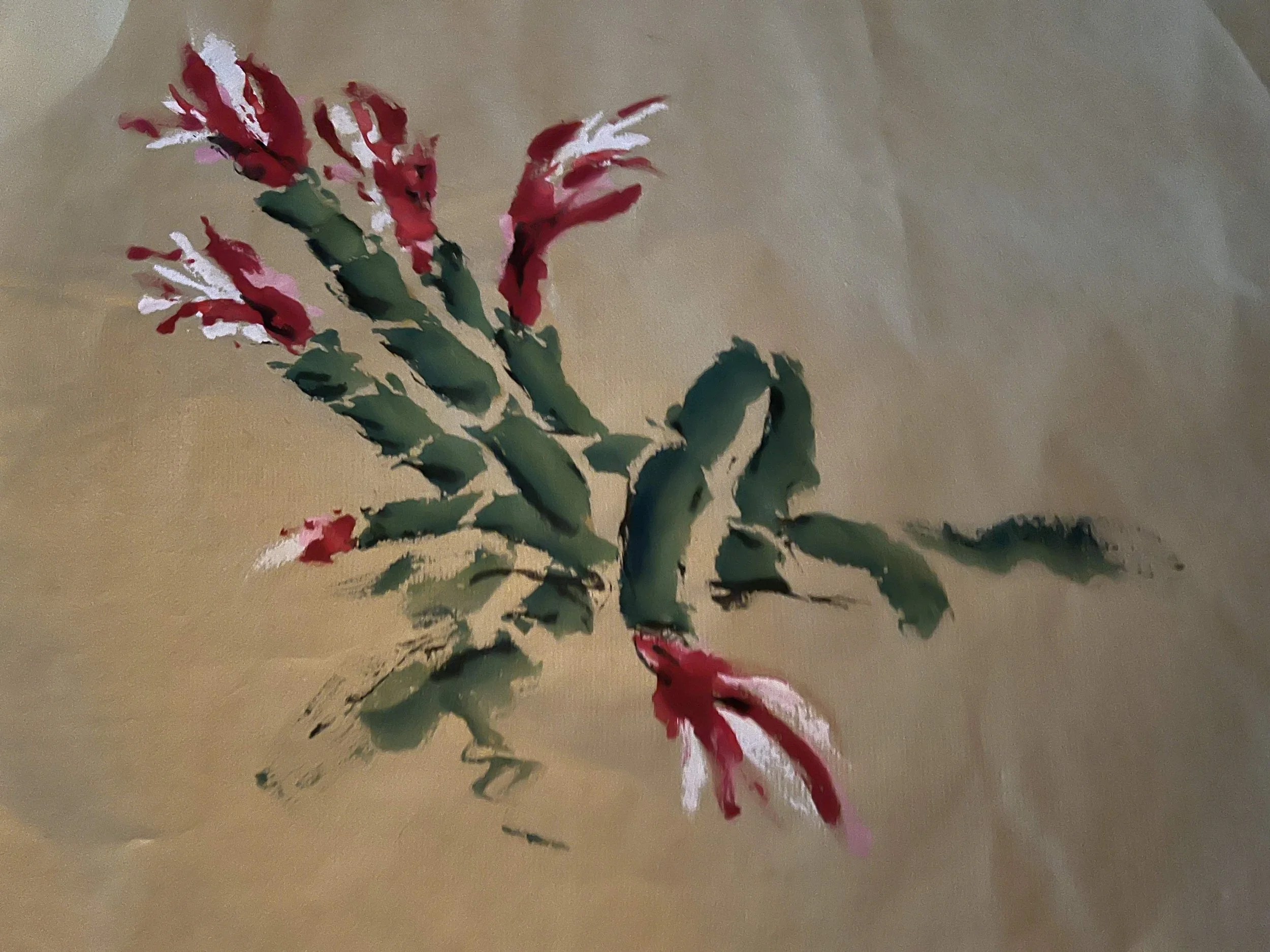 Christmas Cactus