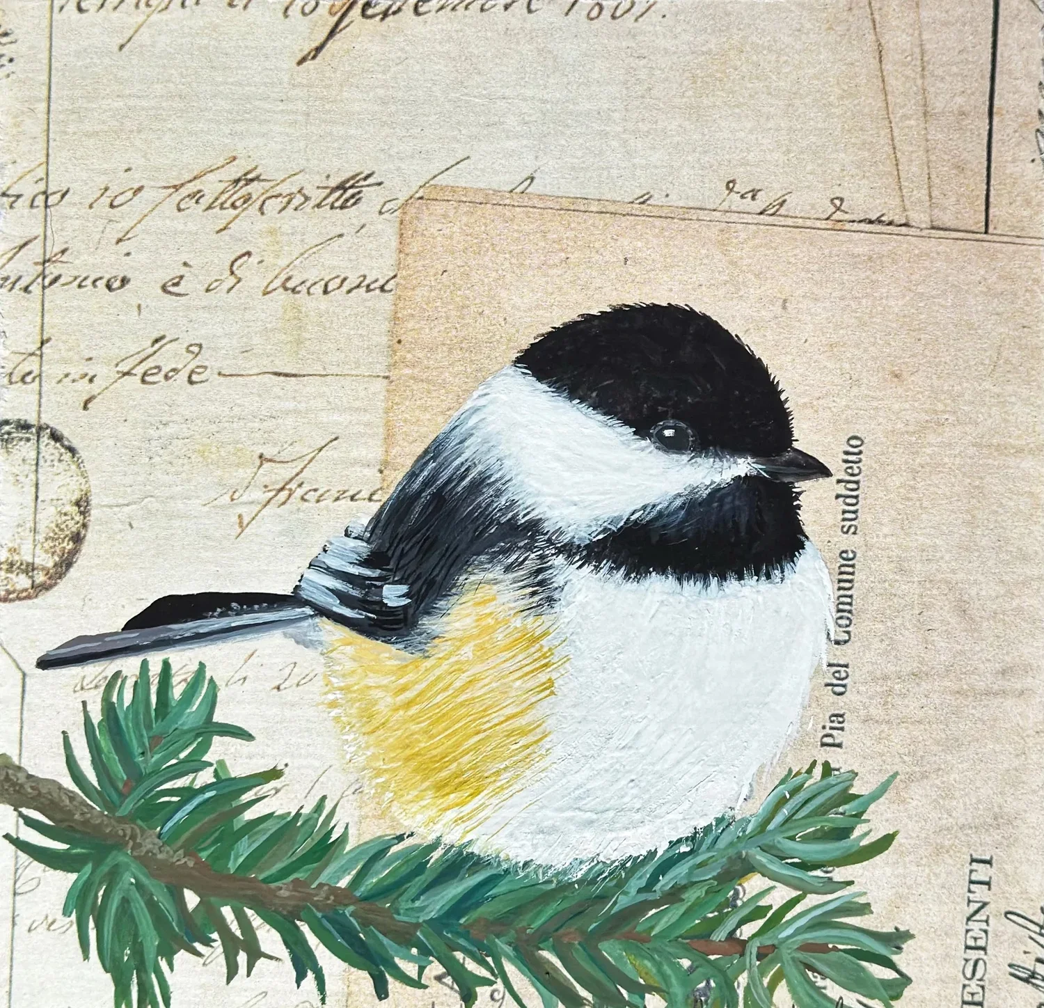 Chickadee