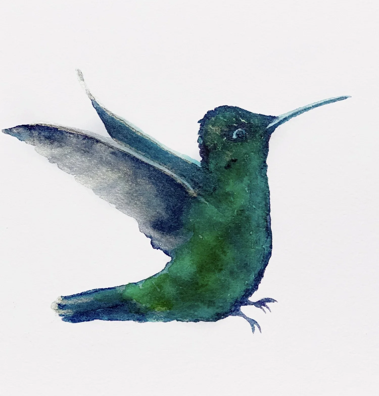 Hummingbird
