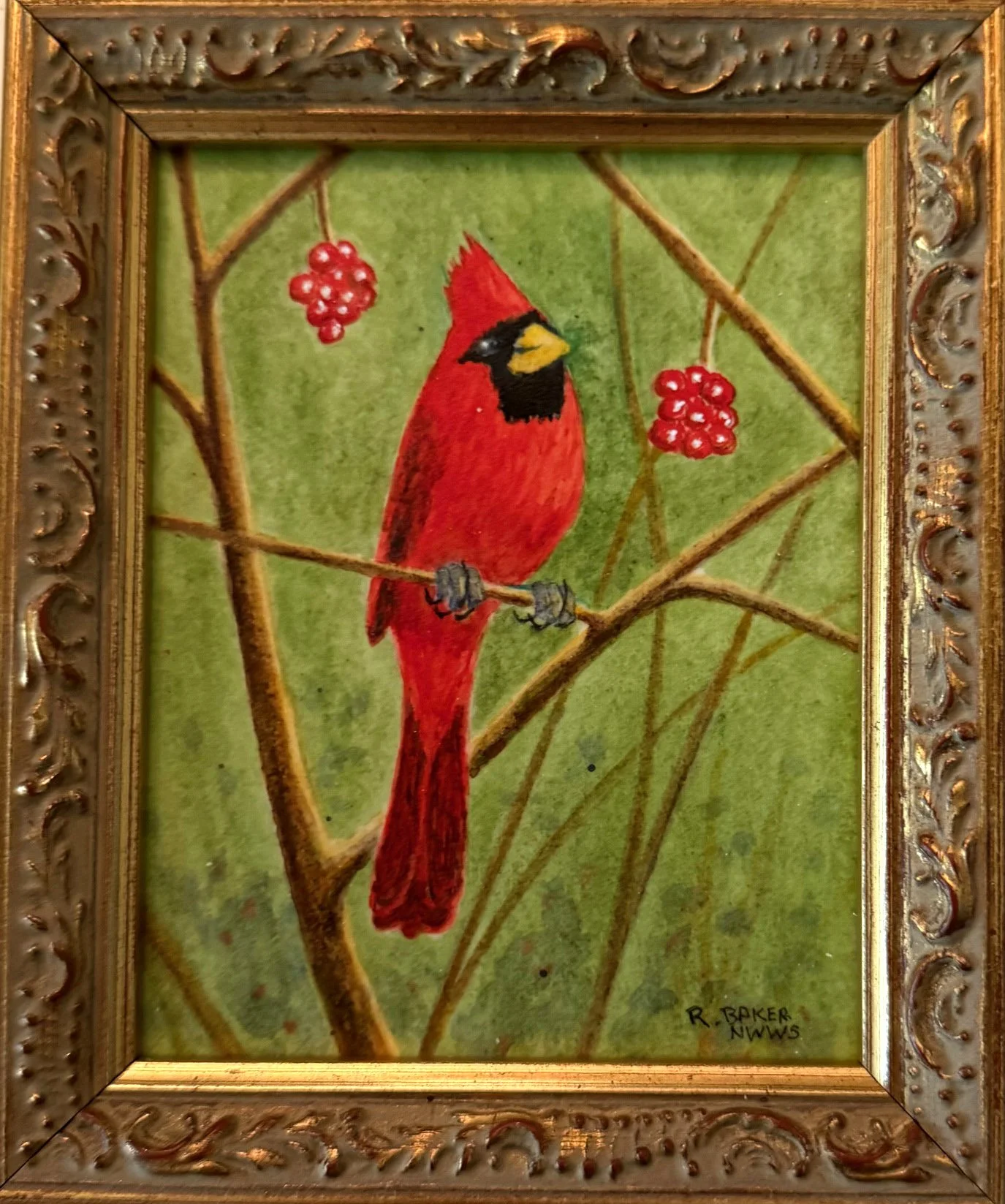 Northern Cardinal.jpg