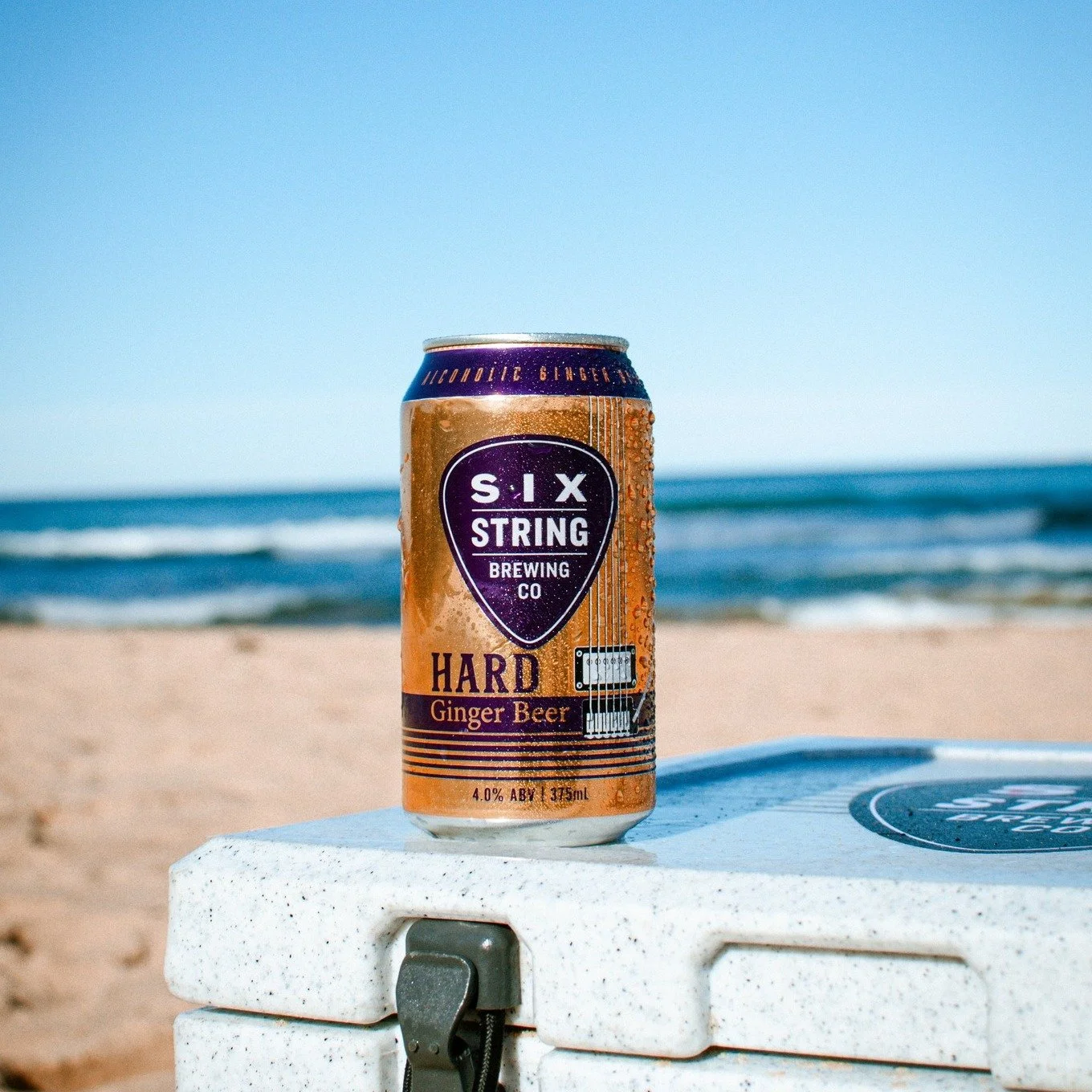 Six Strings x Avoca Beach House Beer Dinner
