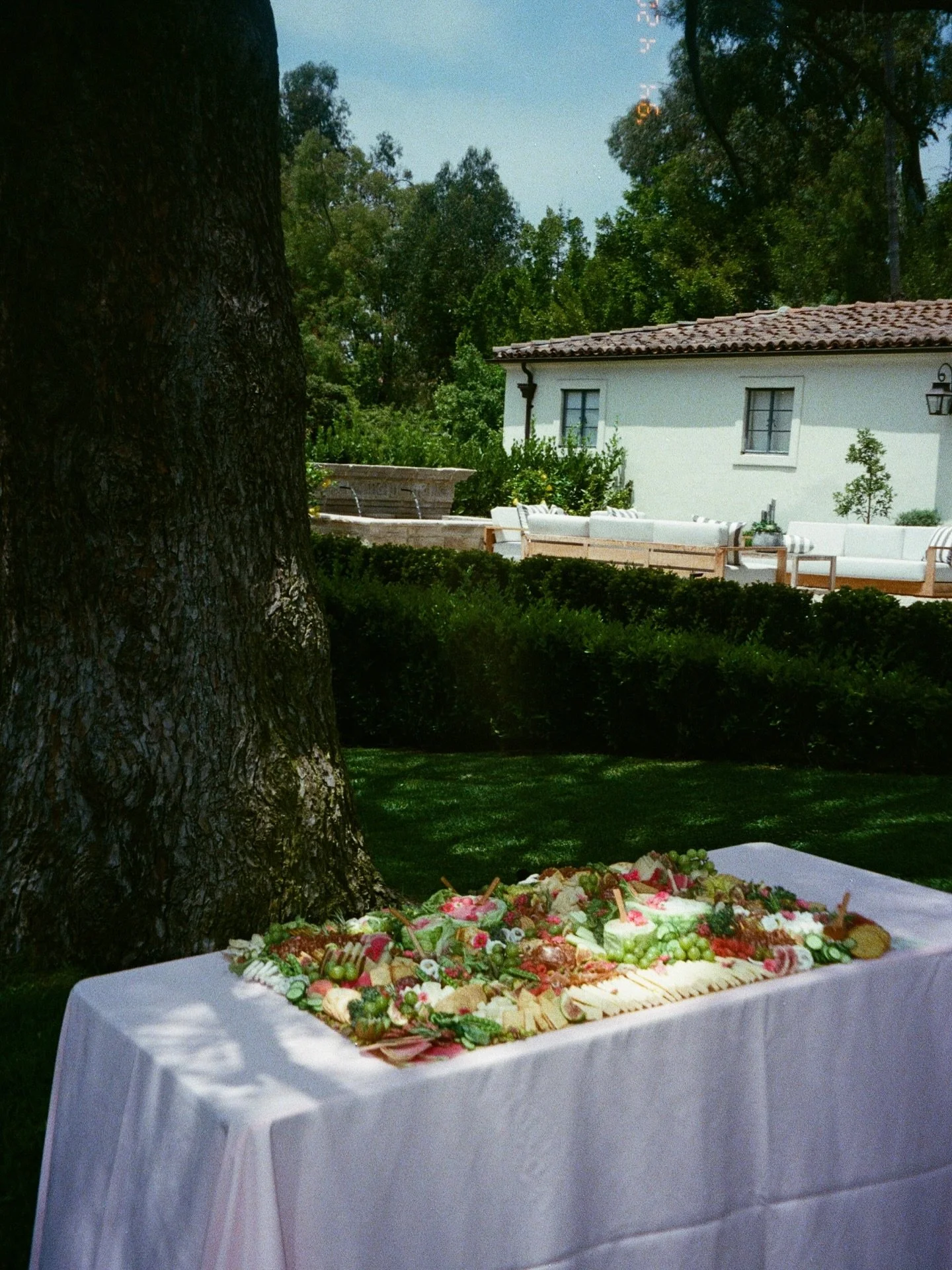 new series: grazing on film! 📸🧀🍇🫐🫒🌼

 #grazingtable #charcuterieboard #charcuterie 
#GrazingTableSetup #GrazingTableIdeas #CharcuterieInspiration #EventGrazing #GrazingTableDesign #GrazingTableGoals #GrazingTableInspo #GrazingTableArt #GrazingT