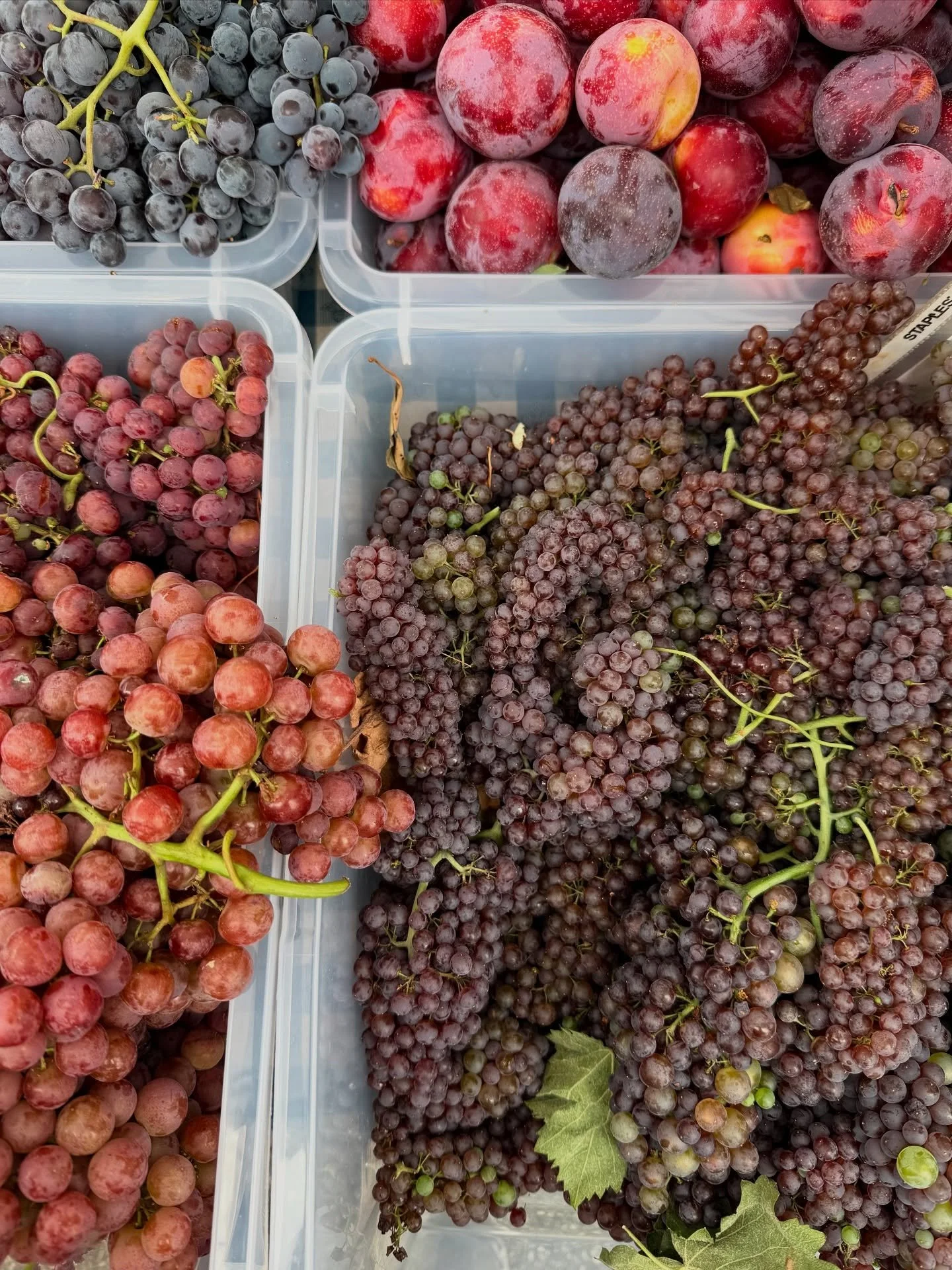 grazing starts here 🌻 straight from the farmers market to your board🍇🫐🫒🌼

 #grazingtable #charcuterieboard #charcuterie 
#GrazingTableSetup #GrazingTableIdeas #CharcuterieInspiration #EventGrazing #GrazingTableDesign #GrazingTableGoals #GrazingT