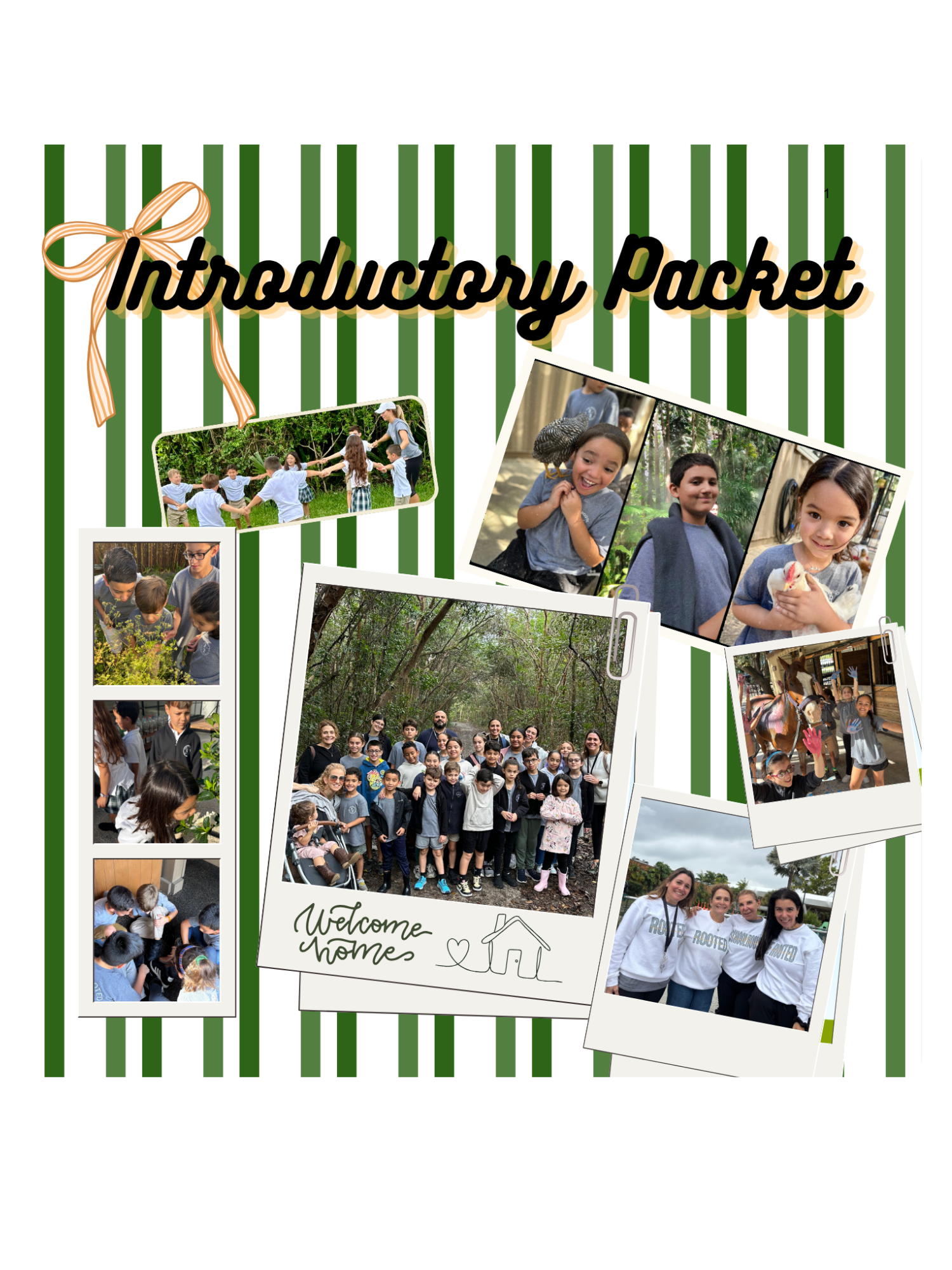 INTRODUCTORY PACKET