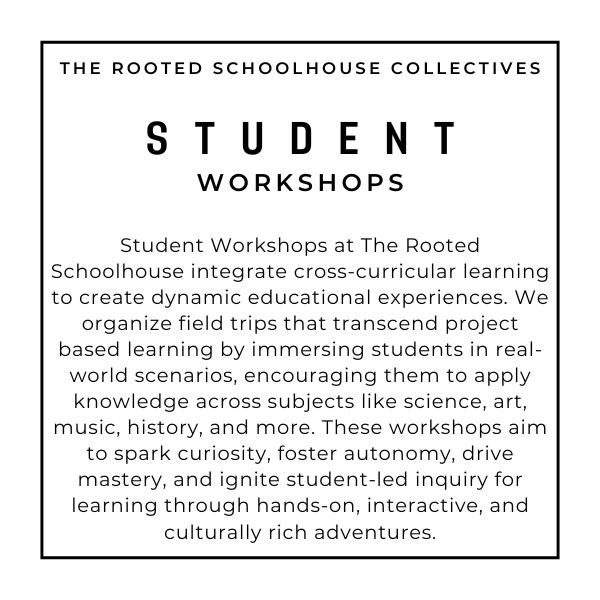 STUDENT WORKSHOPS RS WEBSITE.png