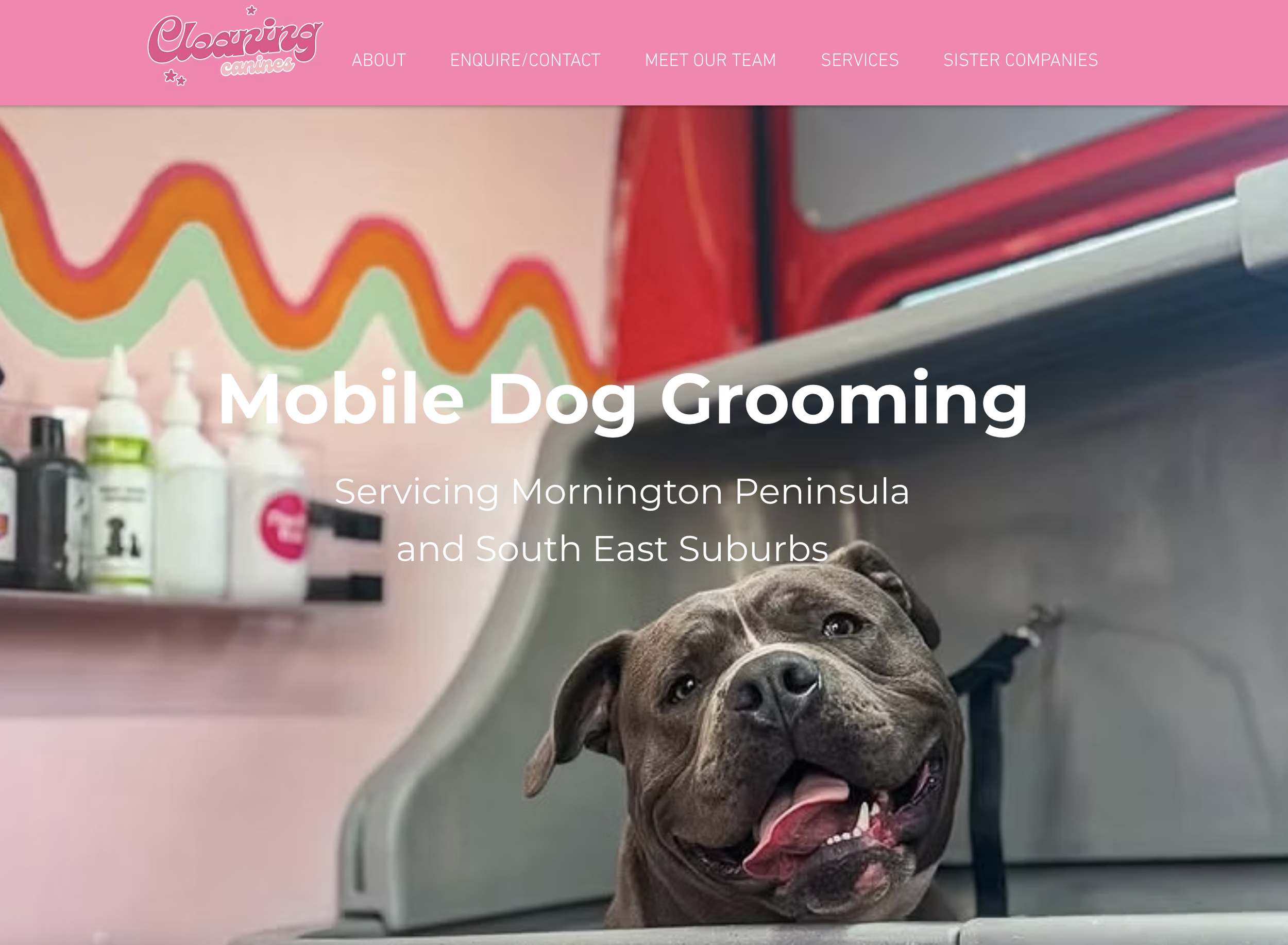 Cleaning Canines -
Liv wanted to create a website for her already successful dog grooming business. Streamlining her booking processes and providing information for potential clients to minimise the admin between a customer making a booking.