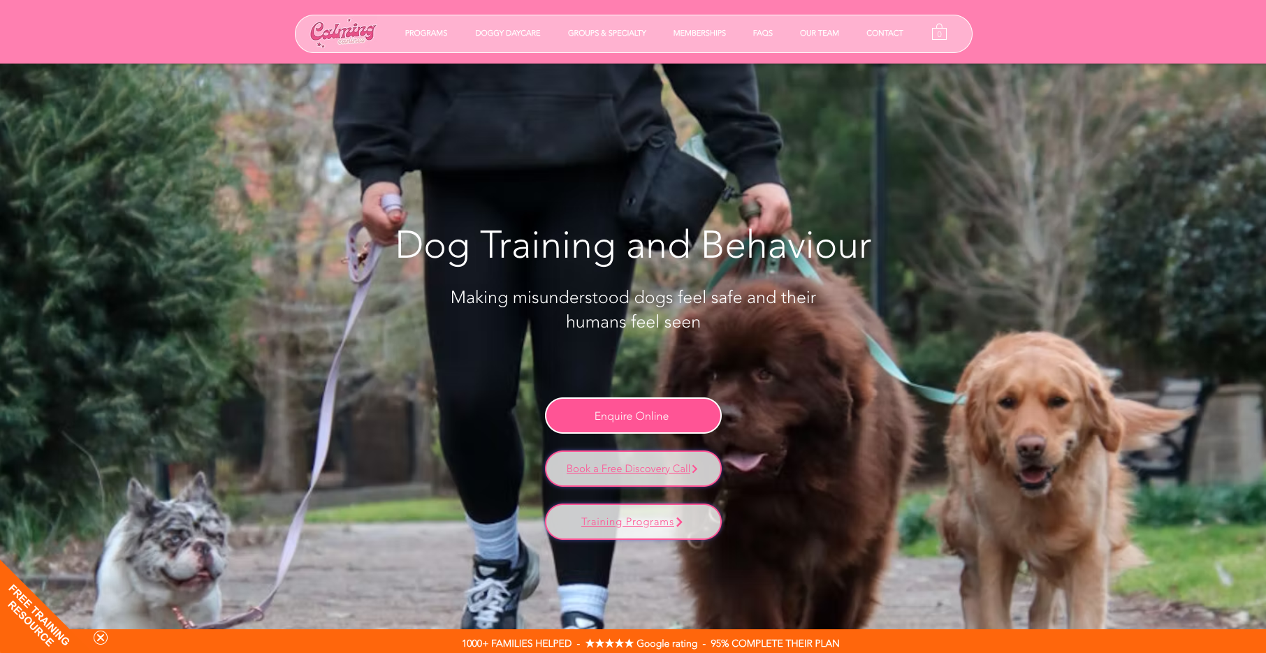 Calming Canines - Liv wanted to create a page that showcased her dog training and behaviour business. Providing lots of information for prospective clients and an opportunity for new clients to fill out an intake questionnaire to save time and get an