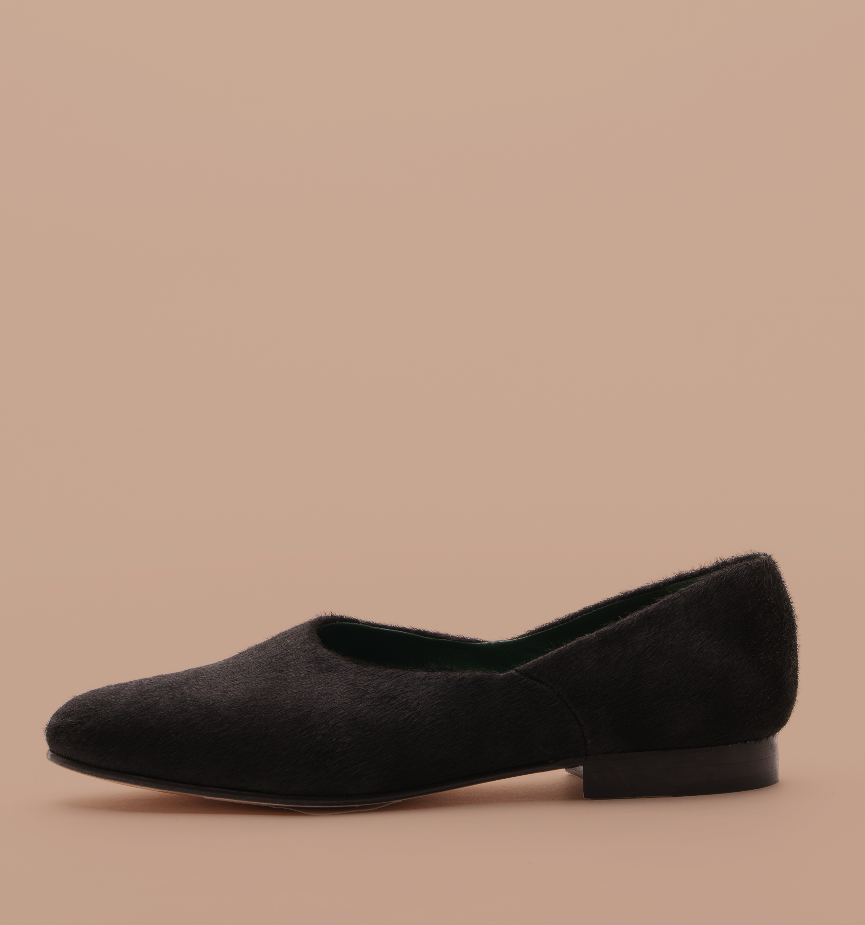 Black flat shoe with pointed toe on beige background
