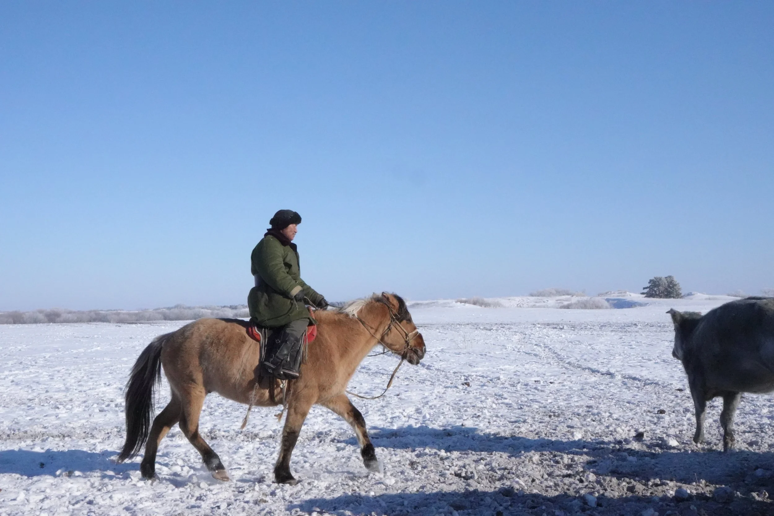 Altanbulag: Homecoming After a Decade-Long Drift in the Cities