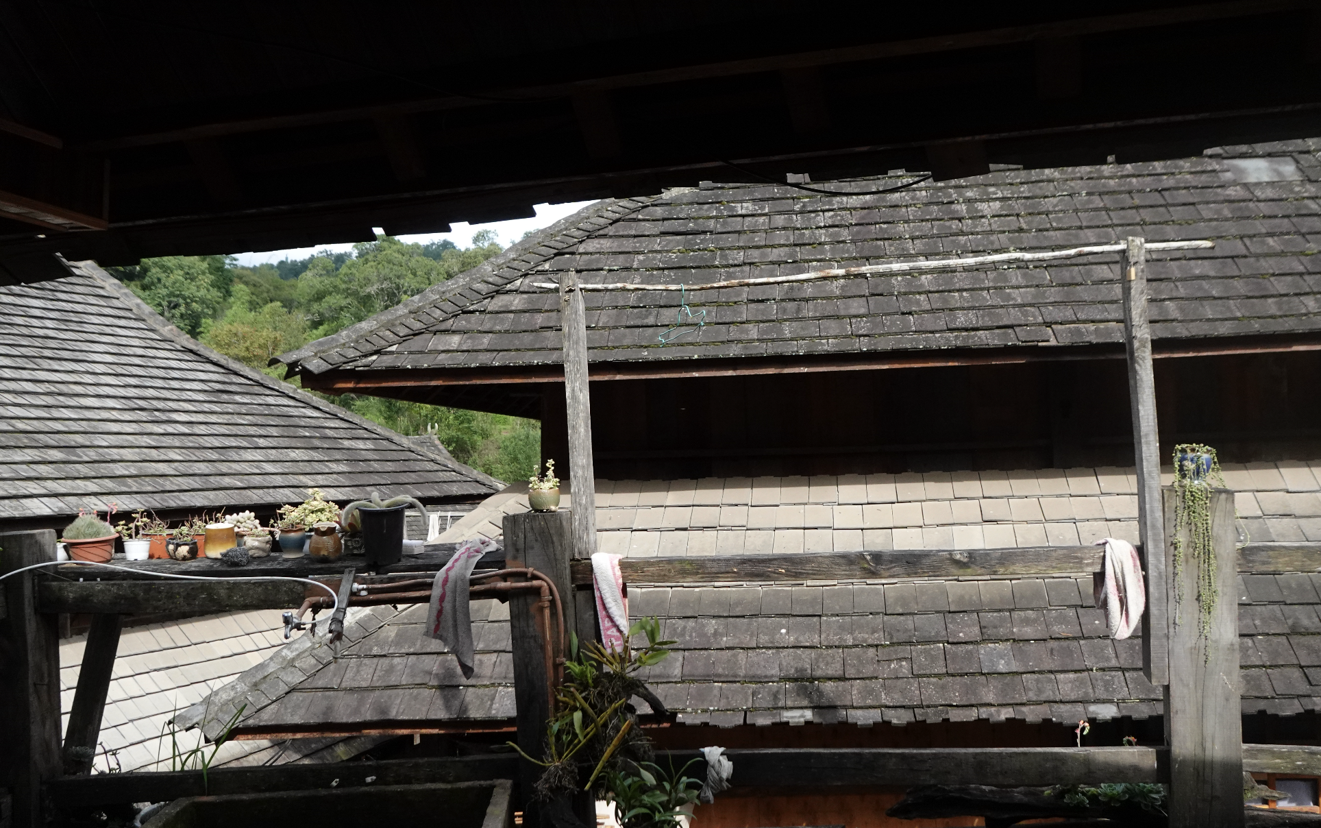 Screenshot 2025-01-11 at 11.48.34 AM.png