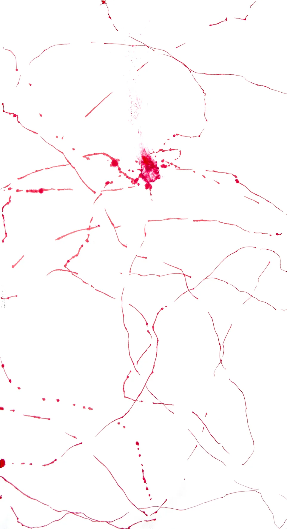 george angelovski, cockroach kinematics, feB 2018unique staBilo point 88 fine.04 red marker and kumkuma on gampi sukiawase pure white 100 gsm paper11.4”/21.5”&nbsp; (29 x 54.5 cm)singapore, singapore