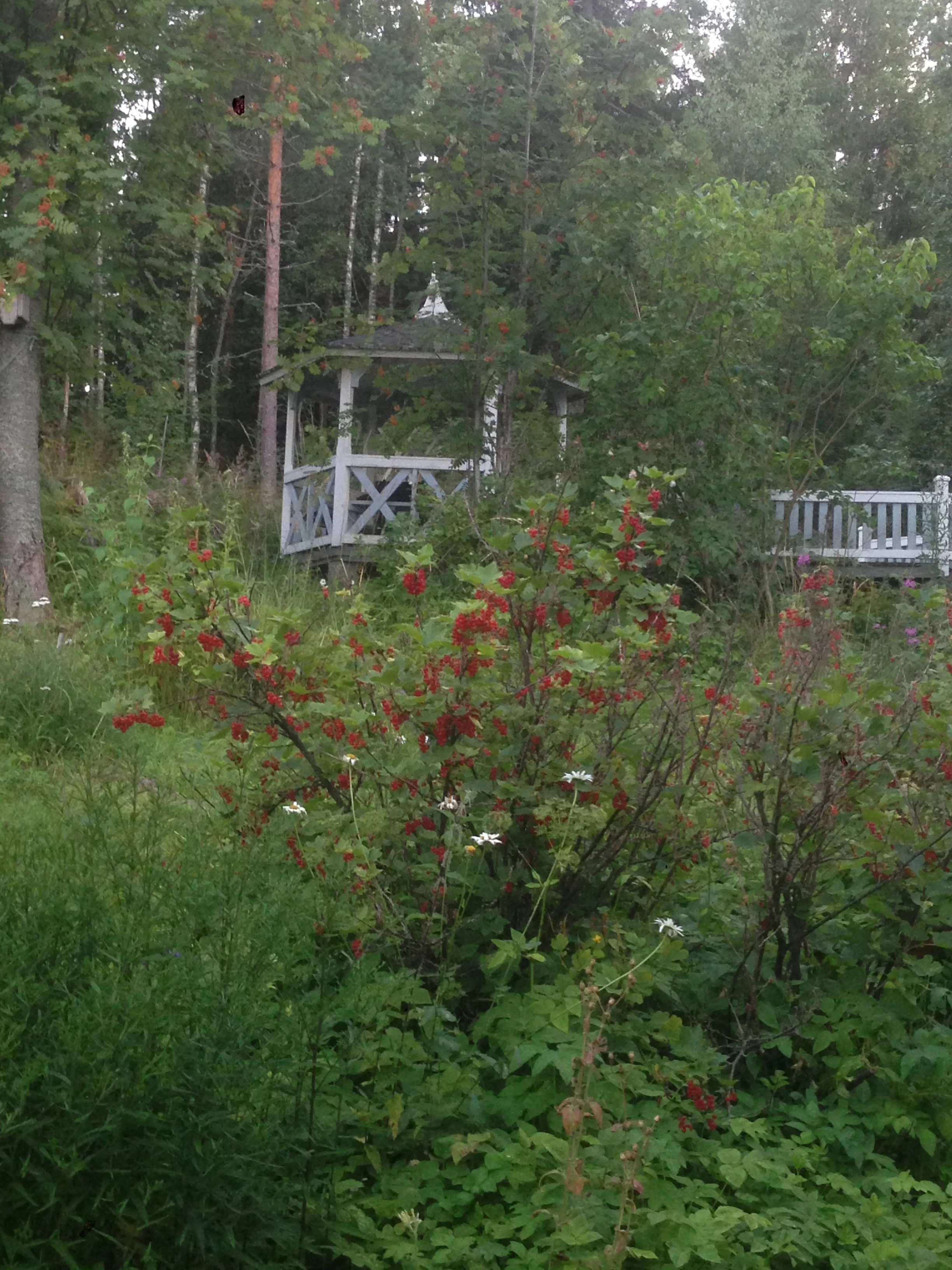 Island Garden_11.JPG