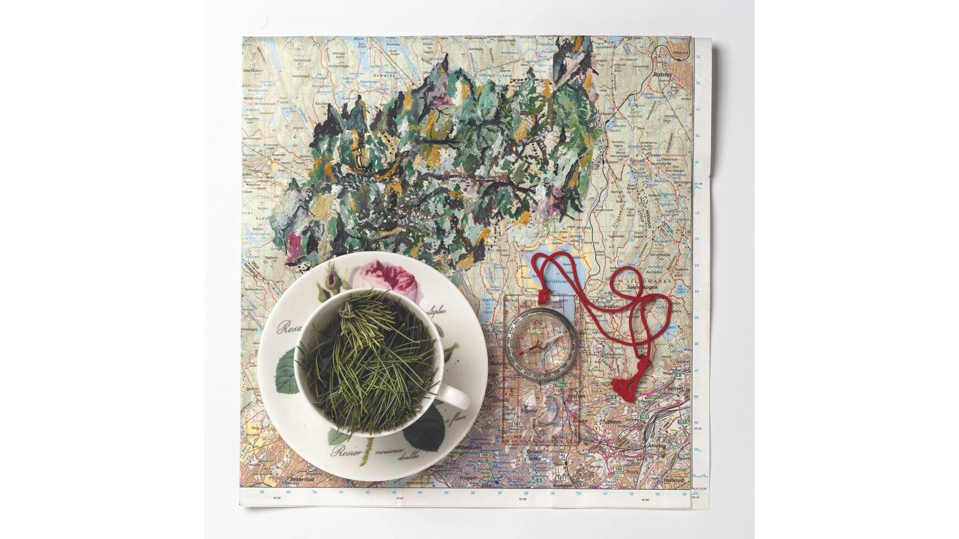 (not) my cup of tea_2024.jpeg