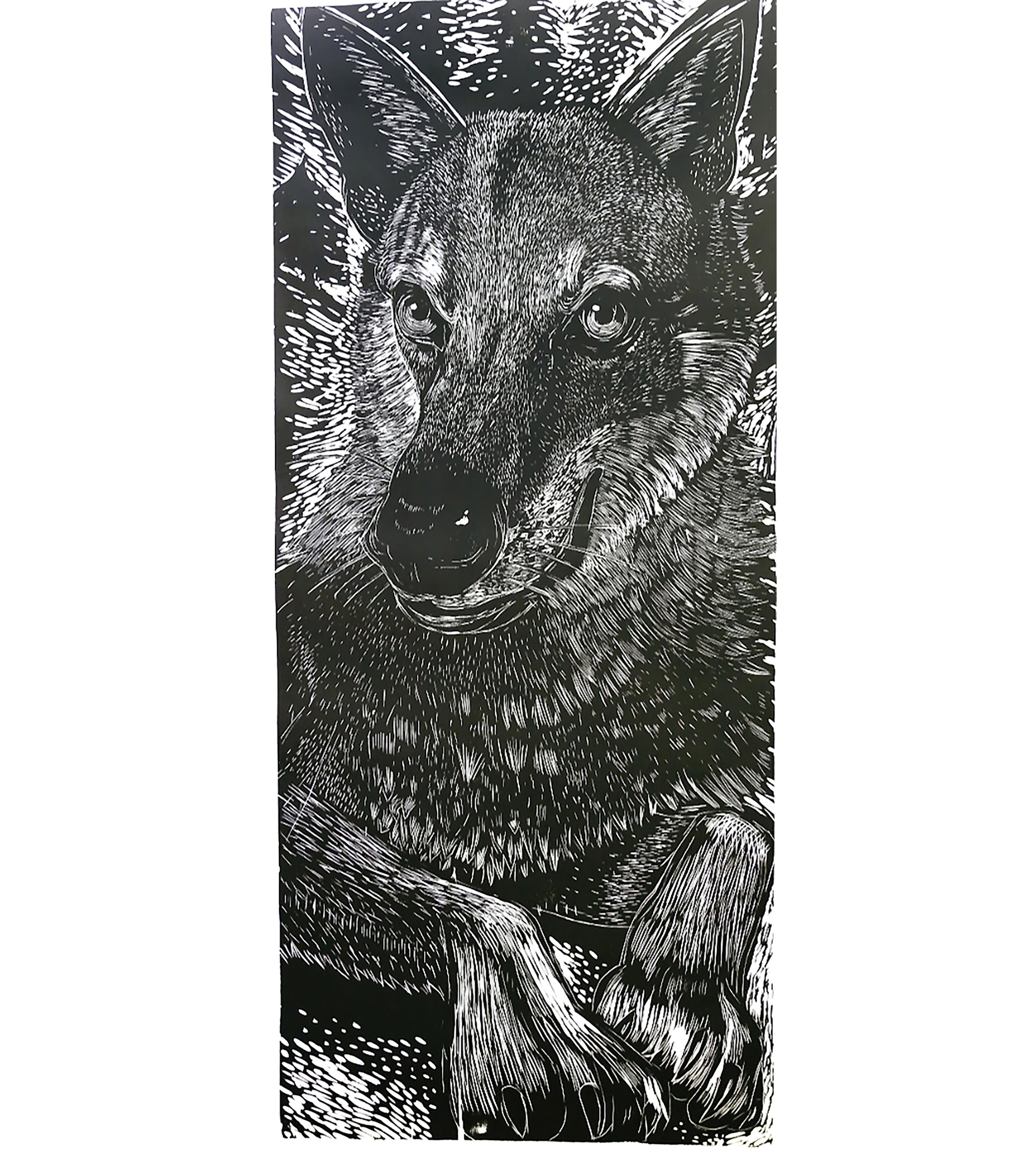 Carlos Llerena Aguirre: Represented Peru in the International Douro Printmaking Biennial 
