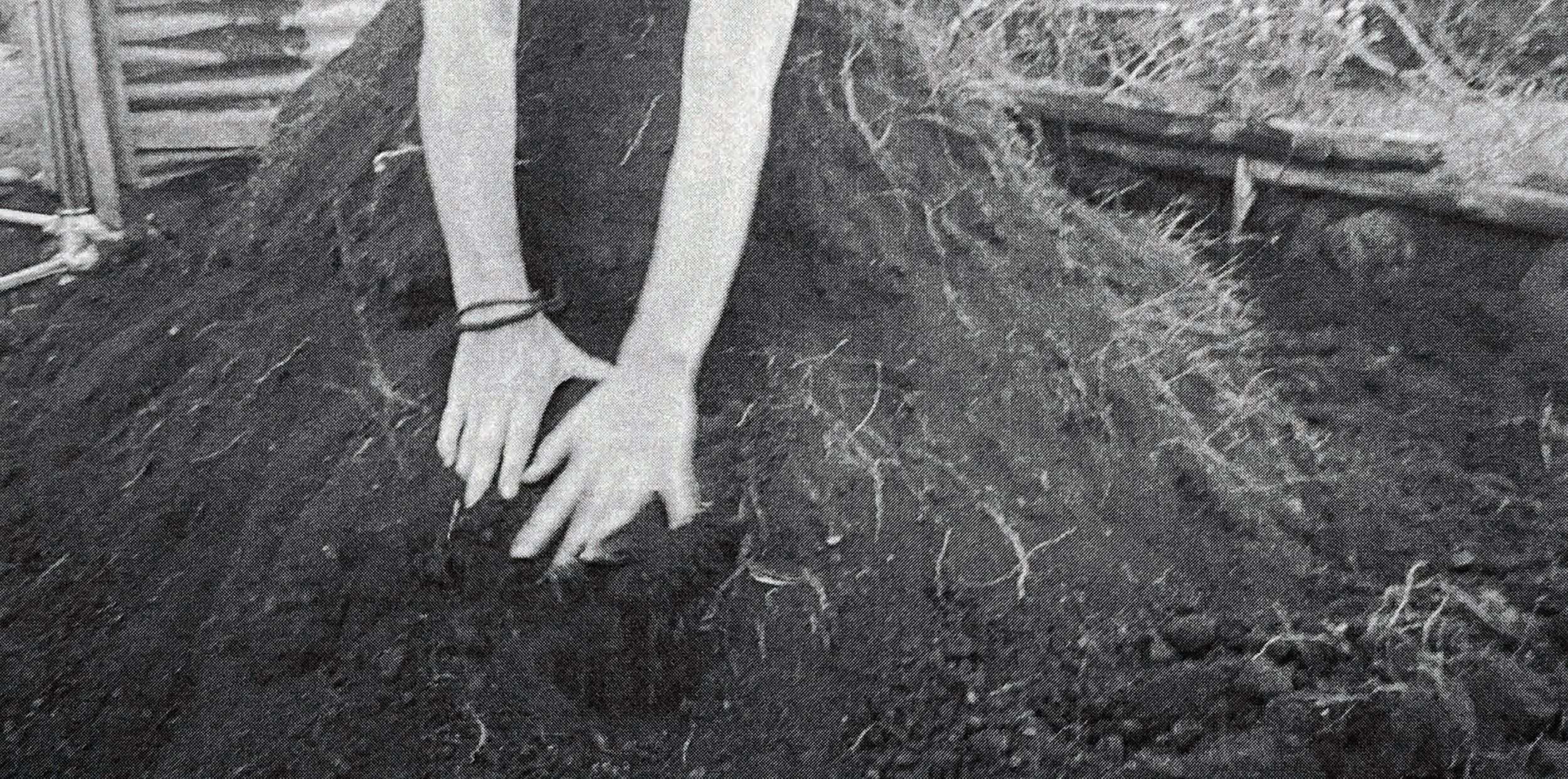 Flavia Bertorello: Body as Land-Book Launch