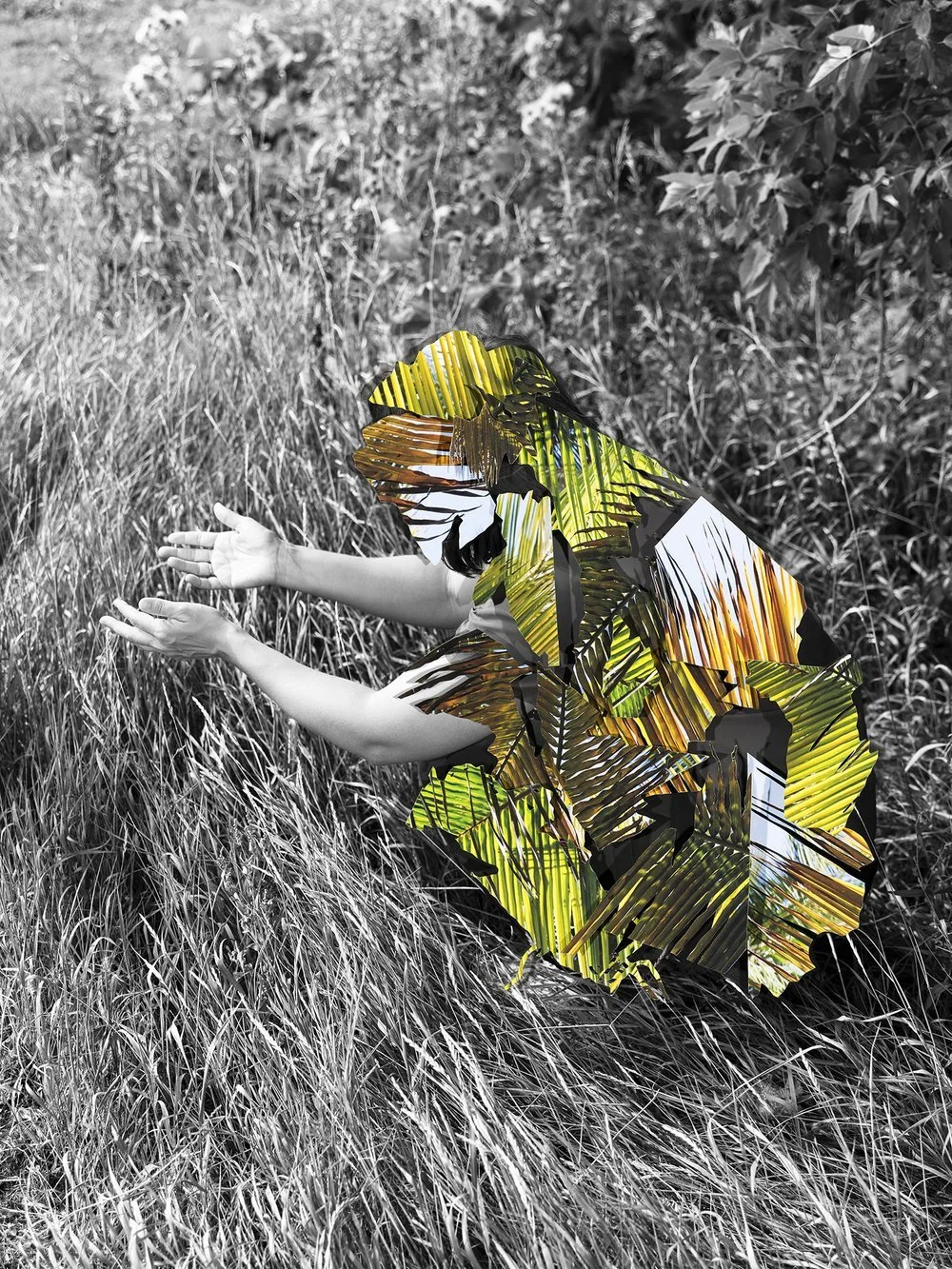 Dominique Rey : Three exhibitions including a solo at VU Broadcast and Production Center of Photography in Quebec City