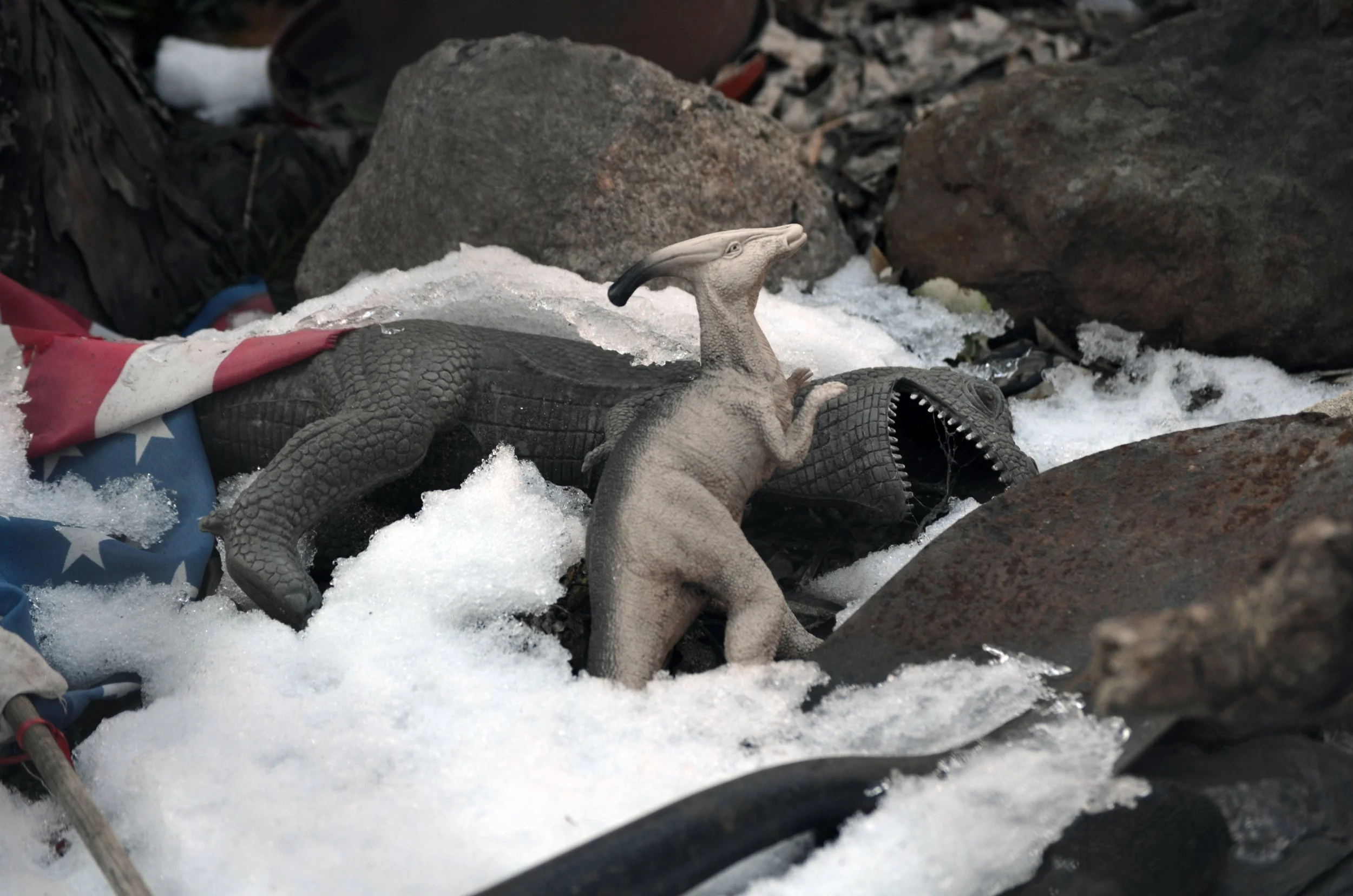 Deborah Carruthers, Allegory for a New Ice Age: No.2, Giclée on Epson enhanced matte paper, 24" x 36", 2019