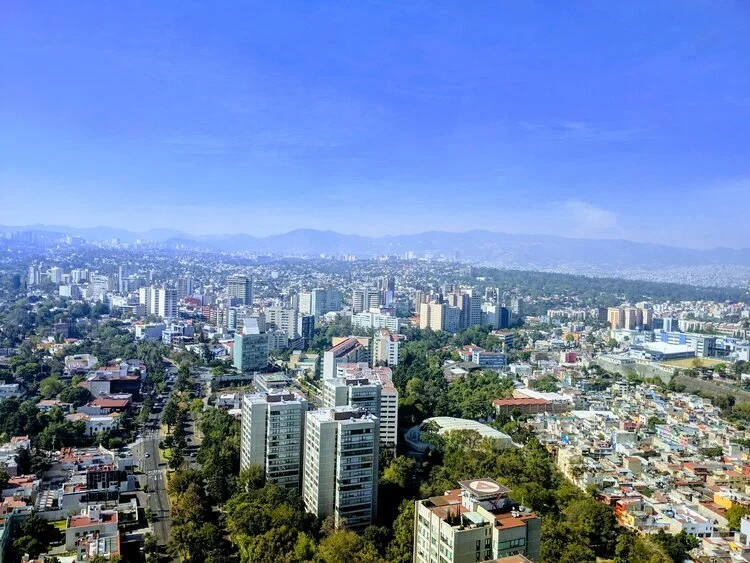 TT Open Window Series  |  Research as Practice - A Talk with Abbéy Odunlami