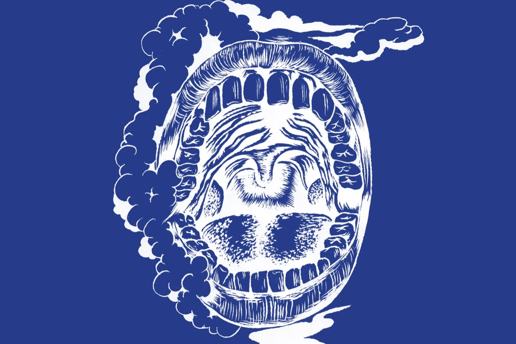 TT Public Talk  |  The Stomach and the Port - A Talk with Biennial Curator Manuela Moscoso