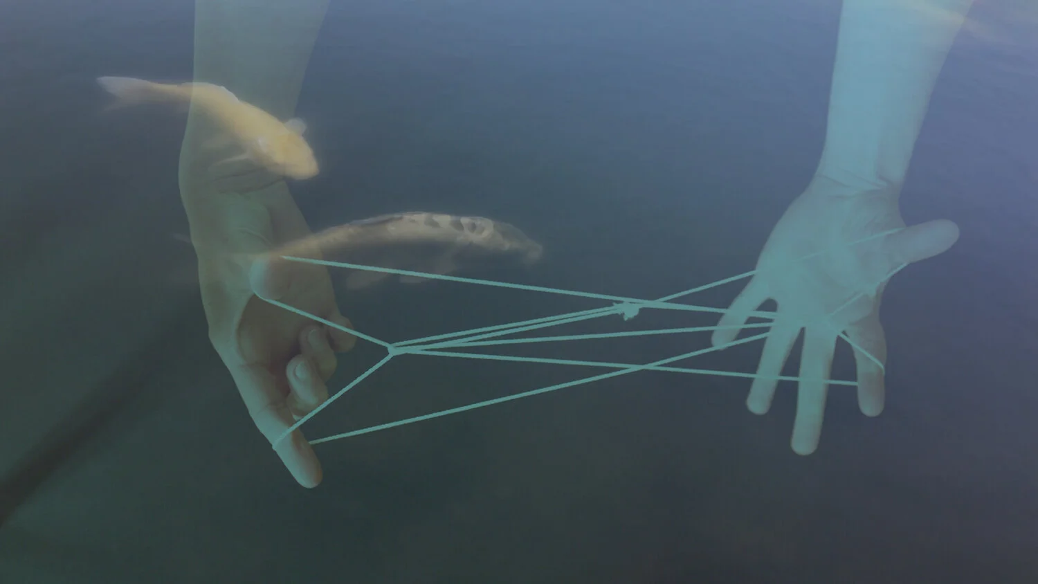 Roundtable Talk  |  Place, Pandemics and the Suspension of Time at Ely Center of Contemporary Art