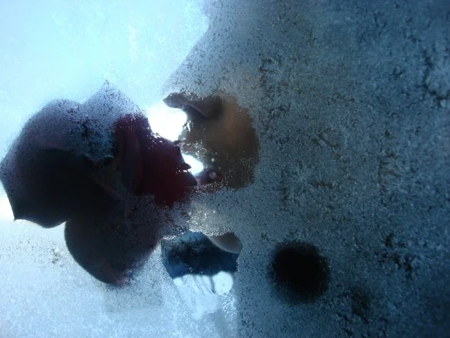 Exhibition  |  SOUNDeSCAPES - Lullaby for Drones by Eva Petrič