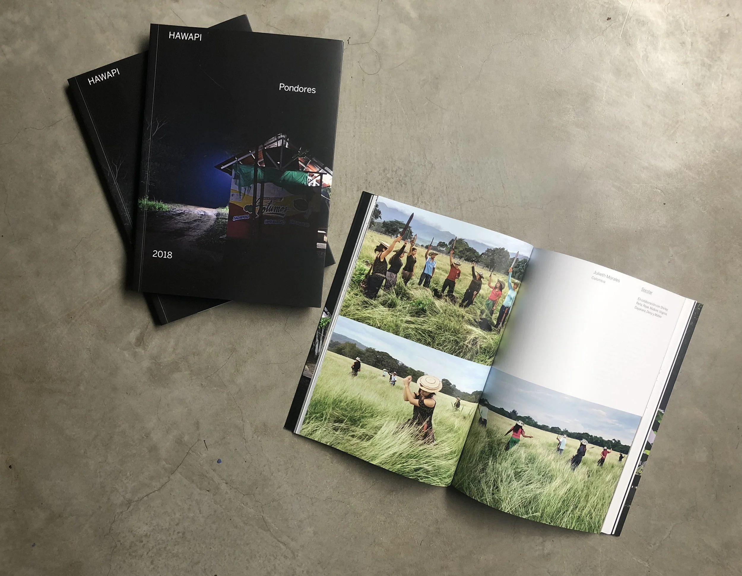 Transart MFA Program Manager presents latest publication