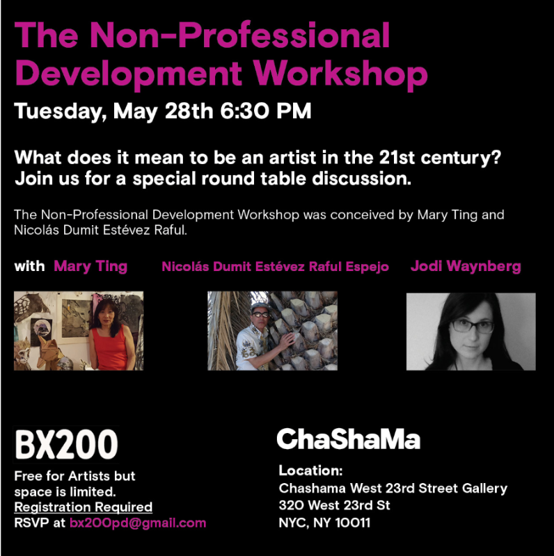 The Non-Professional Development Workshop with Transartists Mary Ting and Nicolás Dumit Estévez Raful