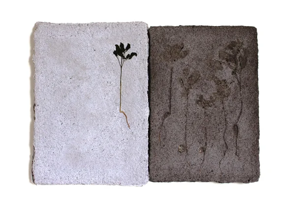 John Newling | Work and Exhibition Updates