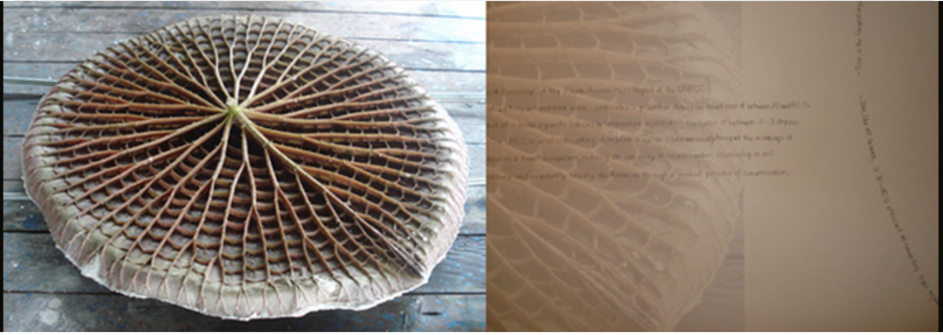 Work by Transart Alumna Ana MacArthur featured at Leonardo LASER Santa Fe event