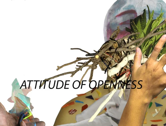 Attitude of Openness: site-specific installation by 6 Transart alumni