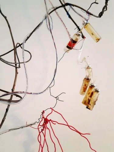 Mary Ting:Plant Cure, Return of the Beavers to 14 St & More