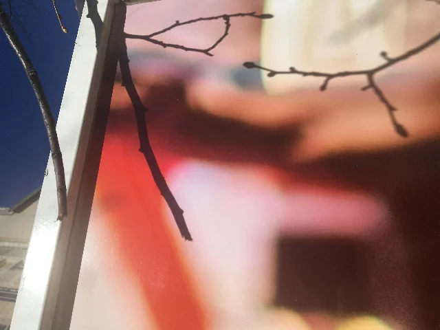 Eröffnung Finnland-Institut in Deutschland: Do you remember?