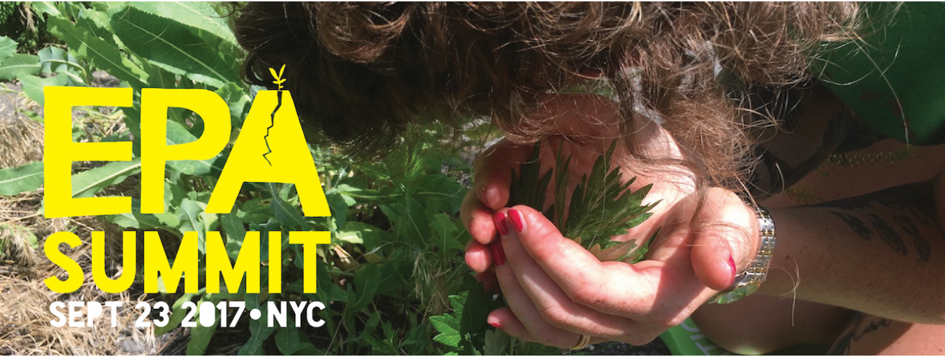 EPA Summit - September 33 2017 in NYC