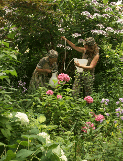 Romantische Naturforschung anhand unromantischer Gegebenheiten