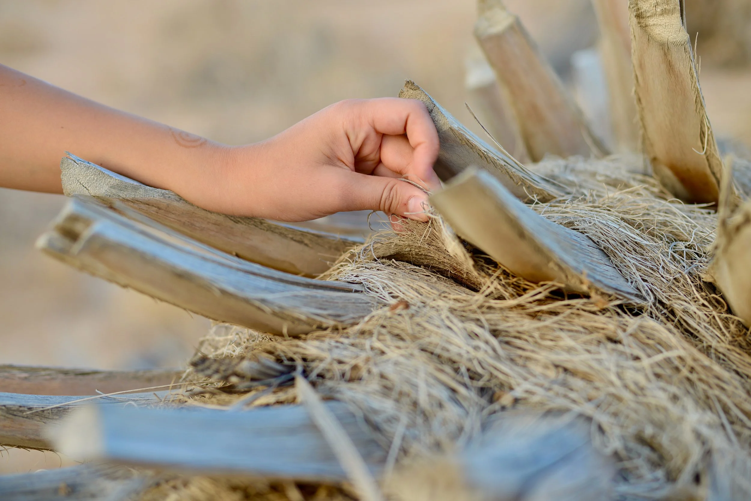 KIM ROBERTSON: REFRAMING THE SOCIAL: ATTUNING TO THE OTHER-THAN-HUMAN WORLDS