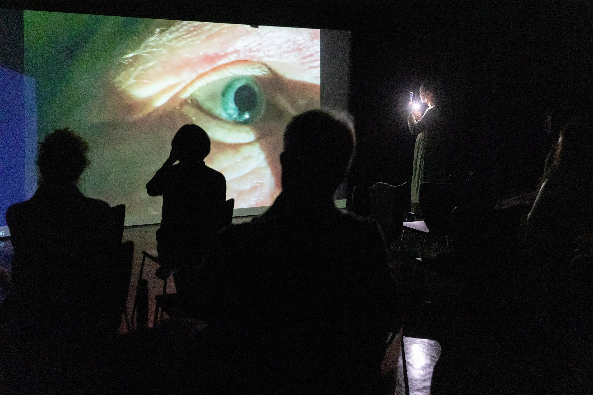 Eka Zharinova: Lost Face Dance: An Exploration a performance in SWM FreeSpace Scratch Night