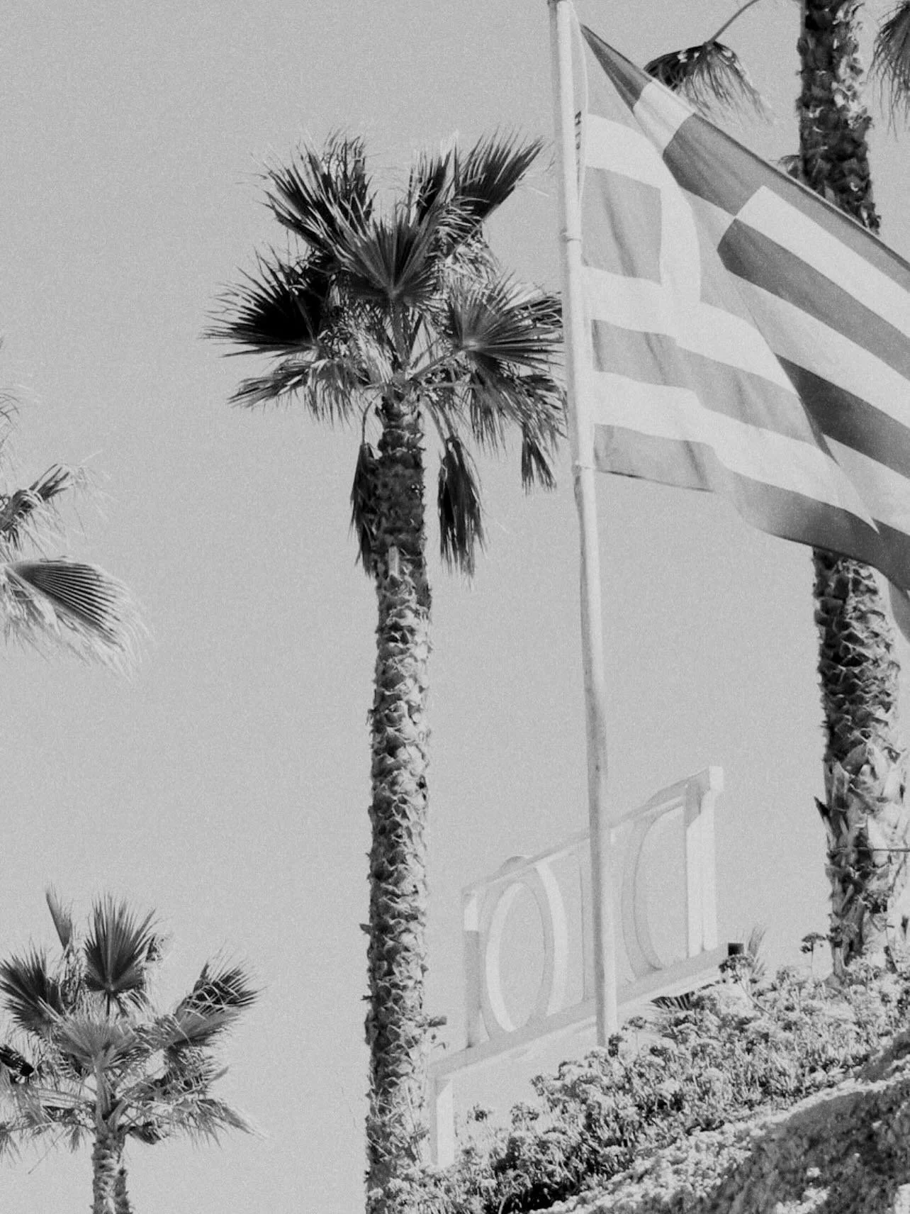 Under the palms &mdash; Crete&rsquo;s seaside magic at work. 🧿 

#diogreece #crete #palmtrees #seastories #beachlife #beachtobar #andrelax