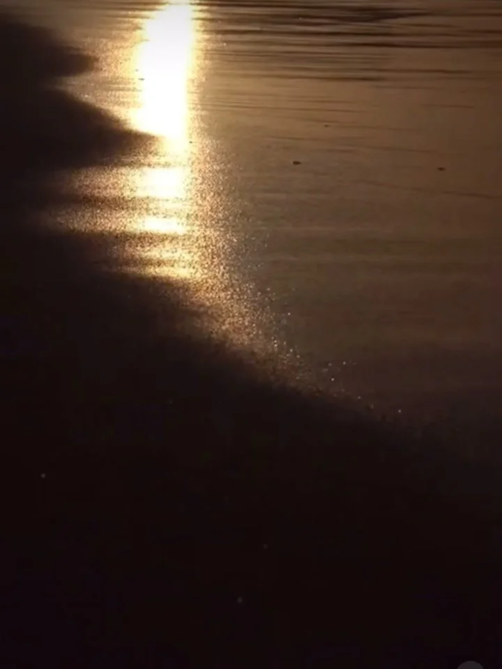 When the forecast is sunshine all week long 🟠💛🤍

#diogreece #crete #hersonissos #beachtobar #beachclub #sunshine #greekislands #islandlife #relax