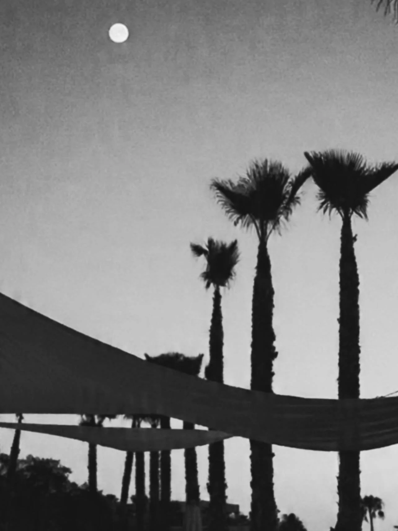 Rituals of freedom.

Dio in the mood of Dionysus

&bull;&bull;&bull;&bull;&bull;&bull;&bull;&bull;&bull;&bull;&bull;&bull;&bull;&bull;&bull;&bull;&bull;&bull;&bull;
#DIONights #DIOSunsets #Rituals #Sunsetrituals #dancetotherythem #freedomliveshere #h