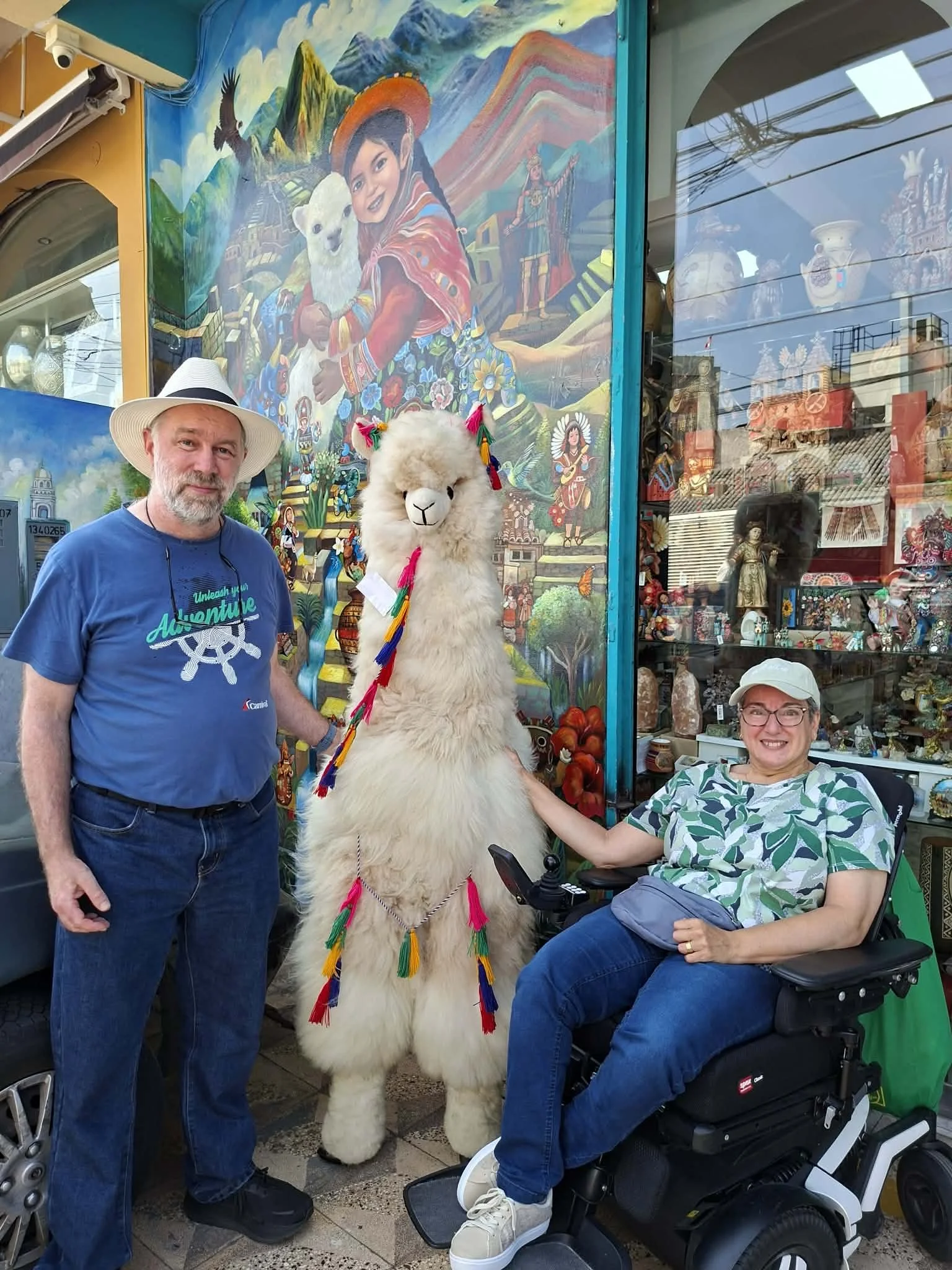 Travelling the World by Wheelchair: Access, Choice and Adventure
