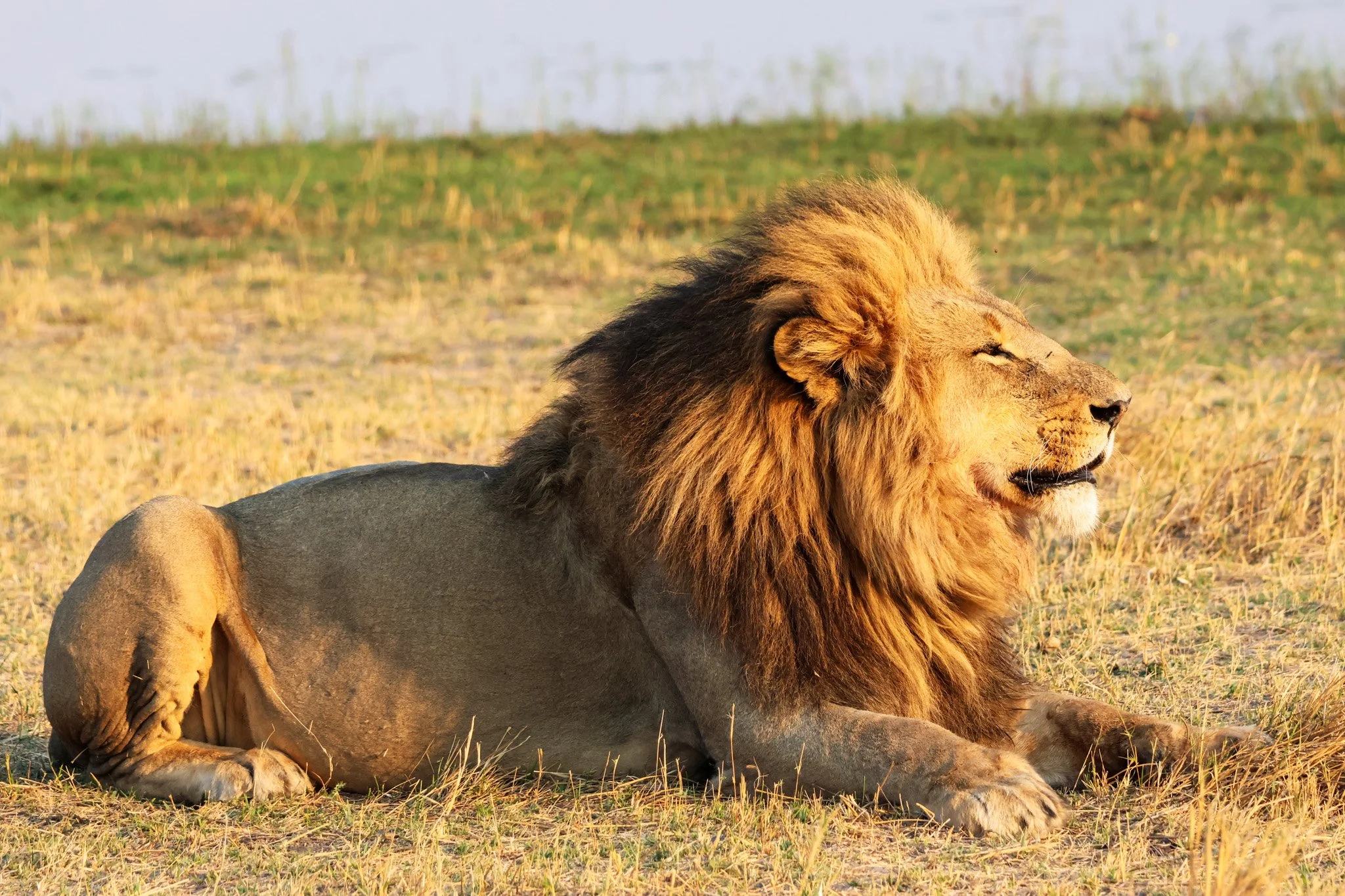 Okavango, Botswana