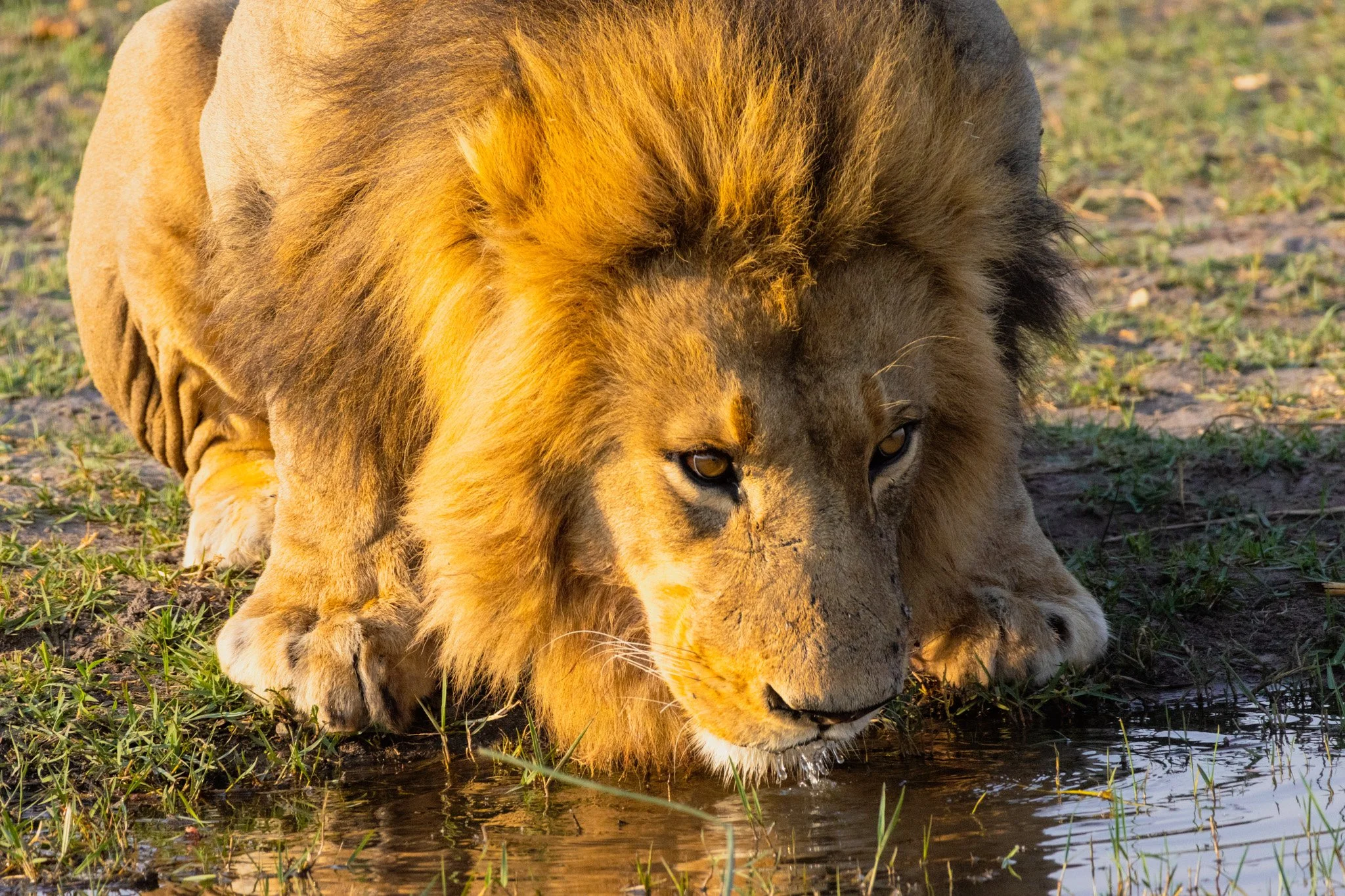 Okavango, Botswana