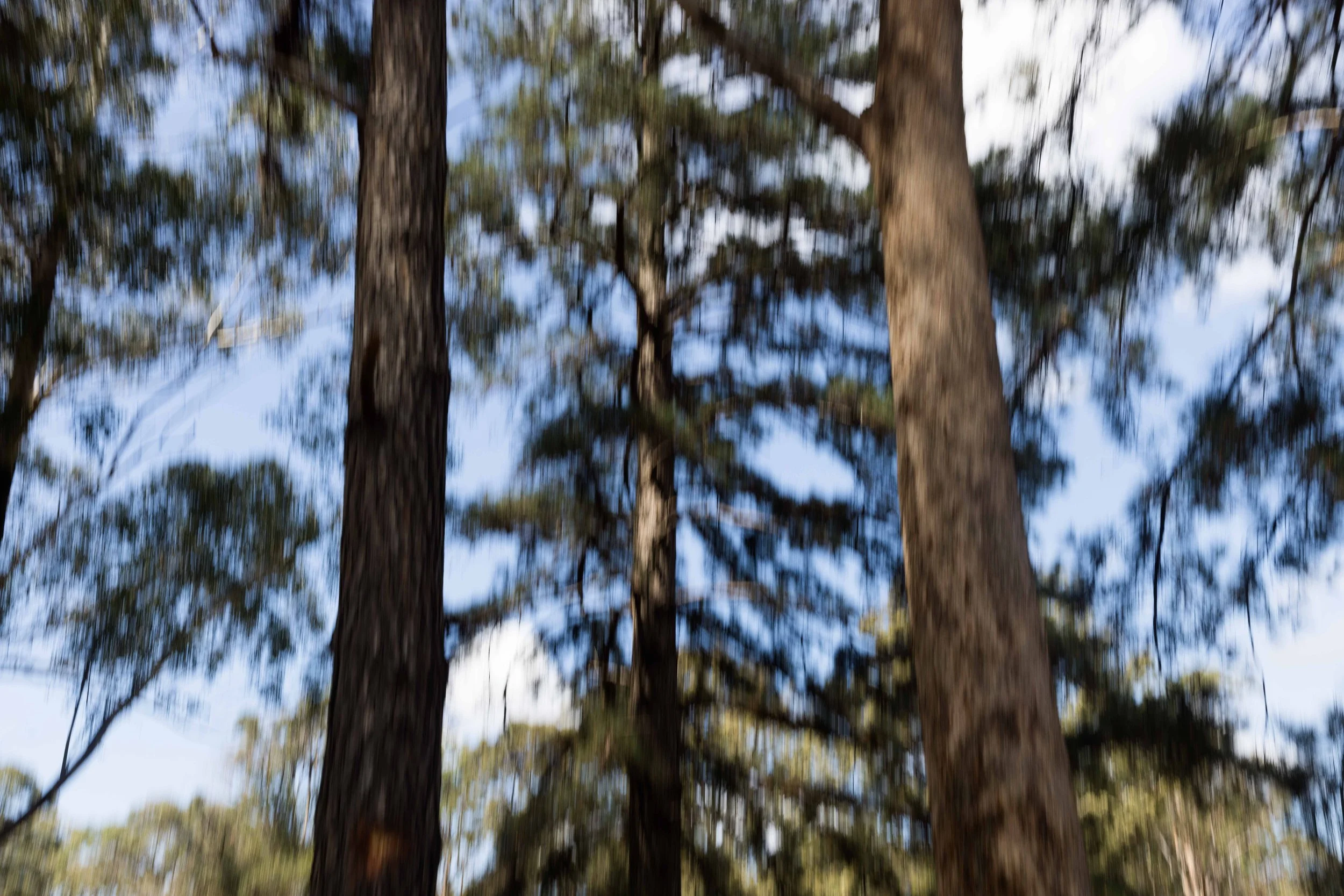 230928_Thrills-Day2-NOV_TheJamesAdams-0315.jpg