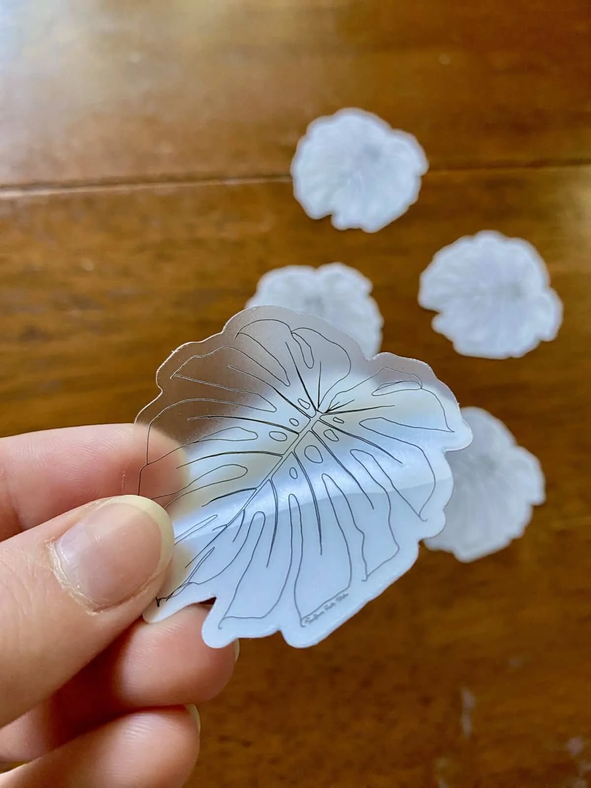 Transparent Monstera 2.jpg