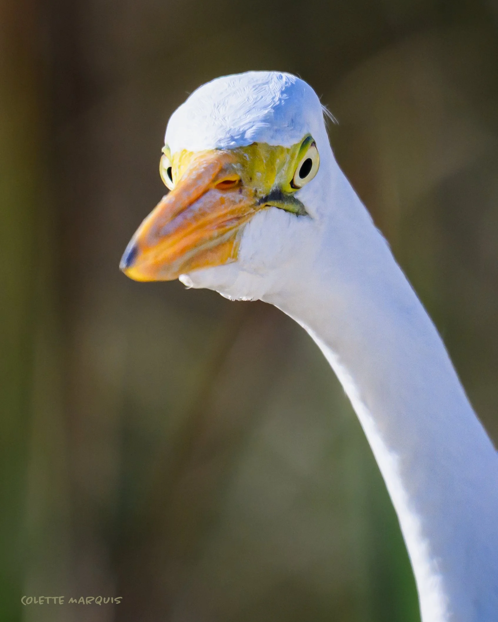 what-ya-looking-at.jpg