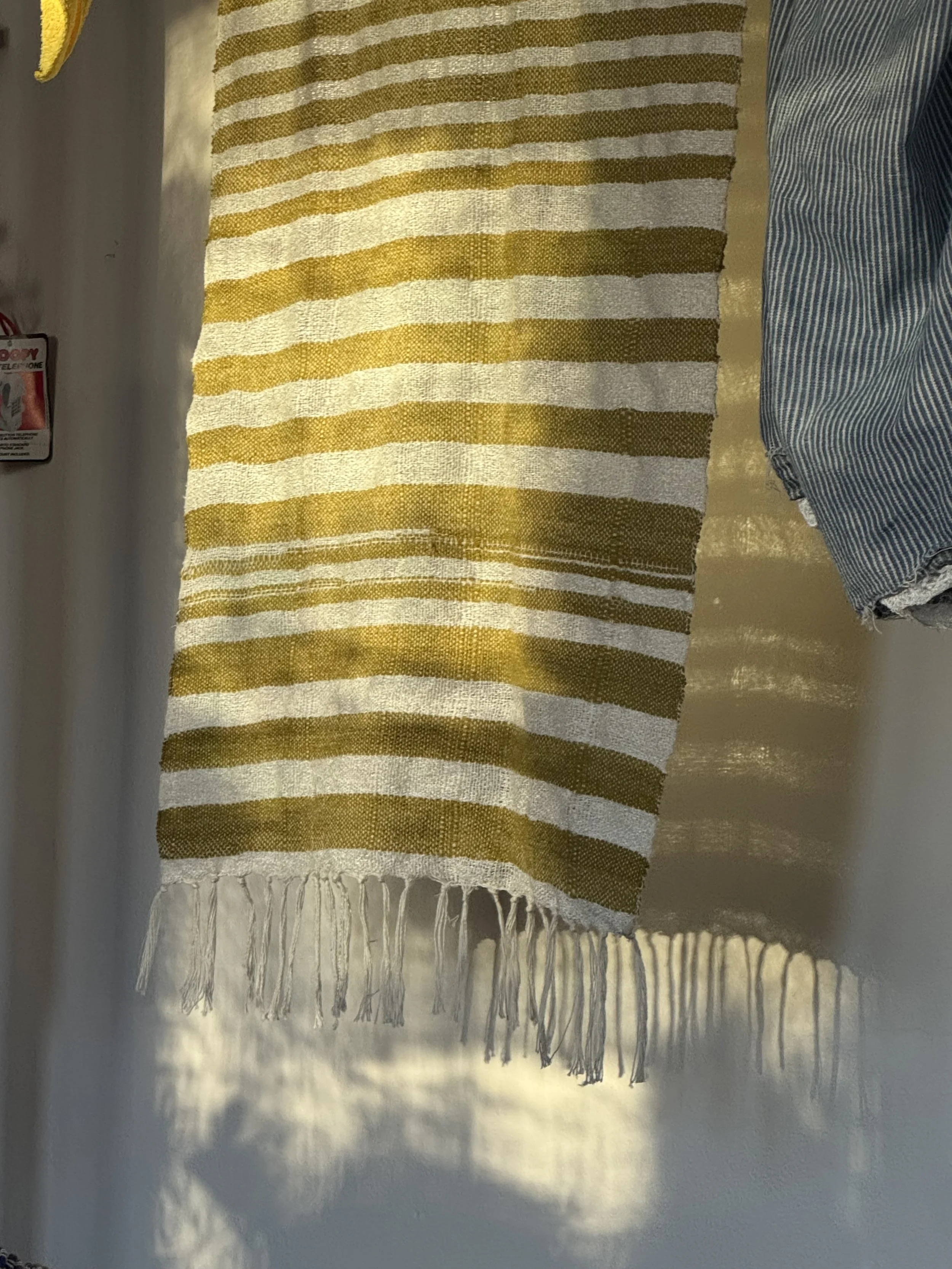 8 Shaft Loom, Plain Weave Curtain, Cotton